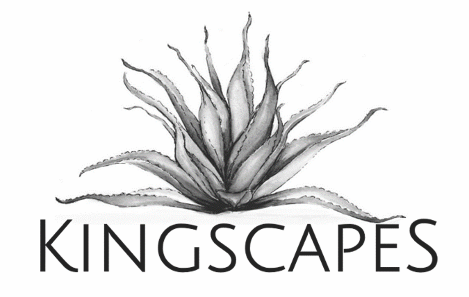 Kingscapes.com