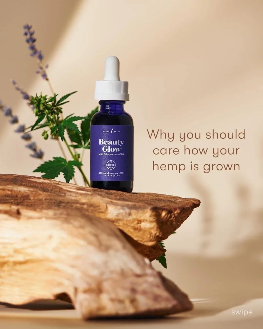 CBD