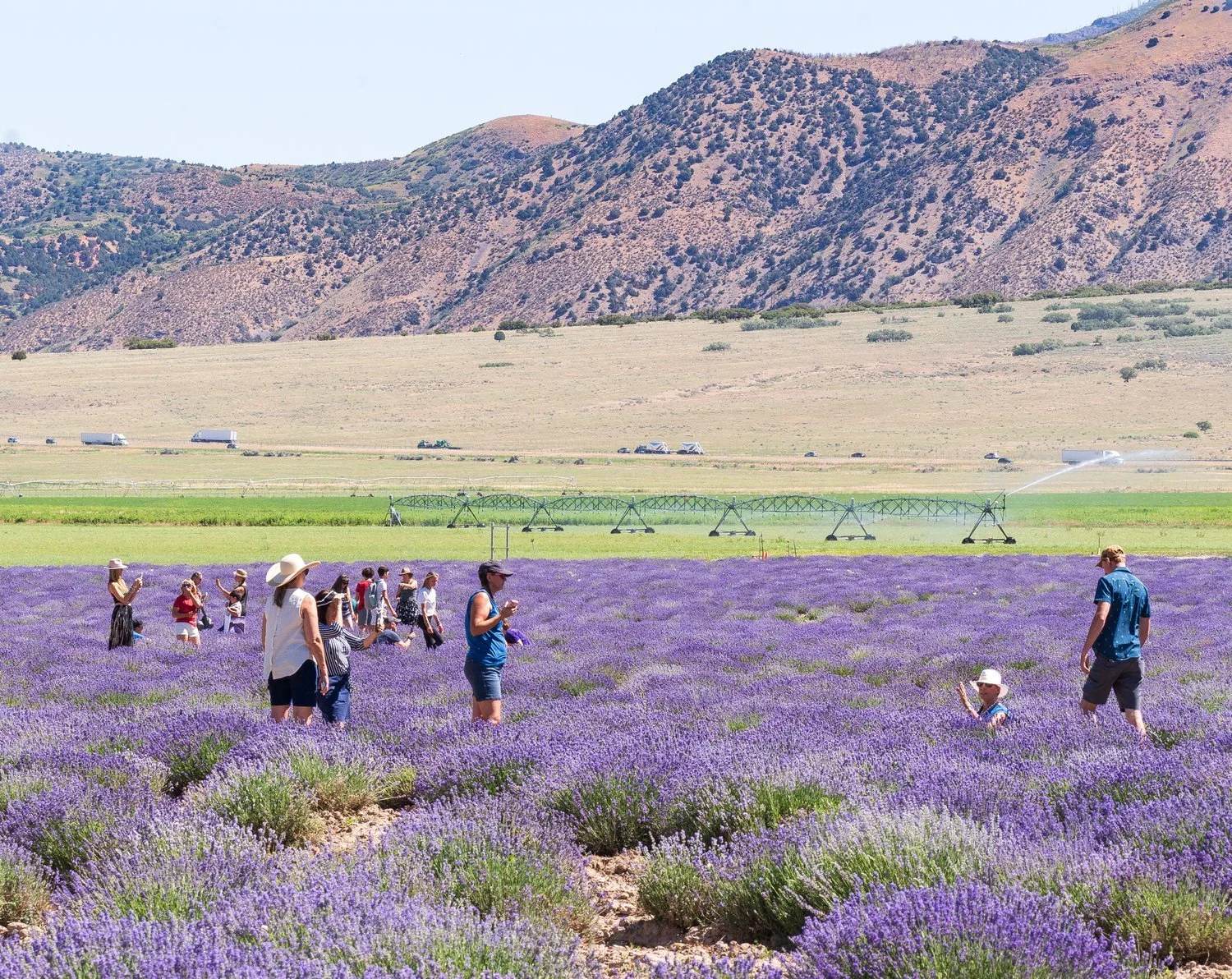 Young Living Community Field Convention Mona Utah