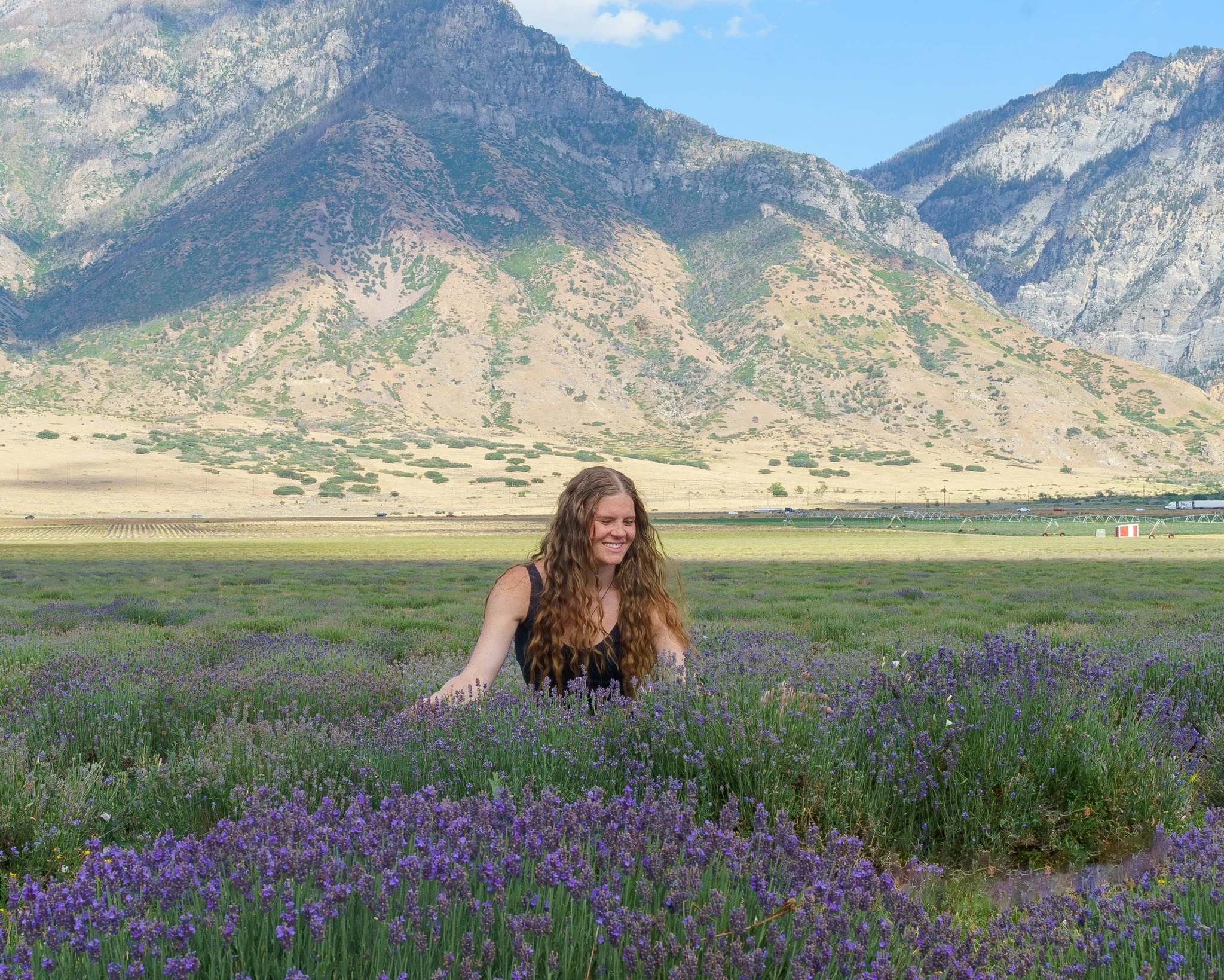 Kristen Daschke in Young Living’s Lavender Field at The Mt. Nebo Farm in Mona, Utah