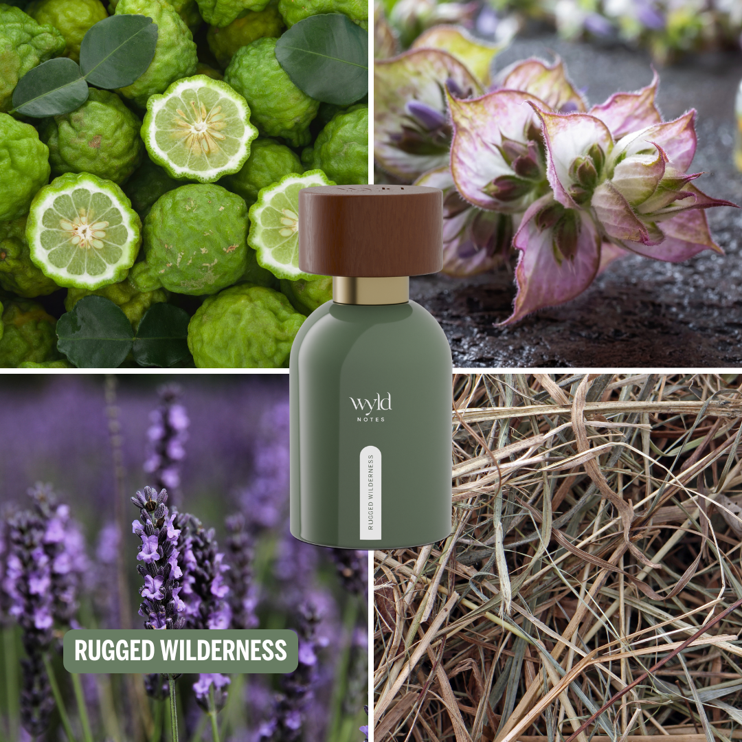 What Rugged Wilderness Smells Like.png