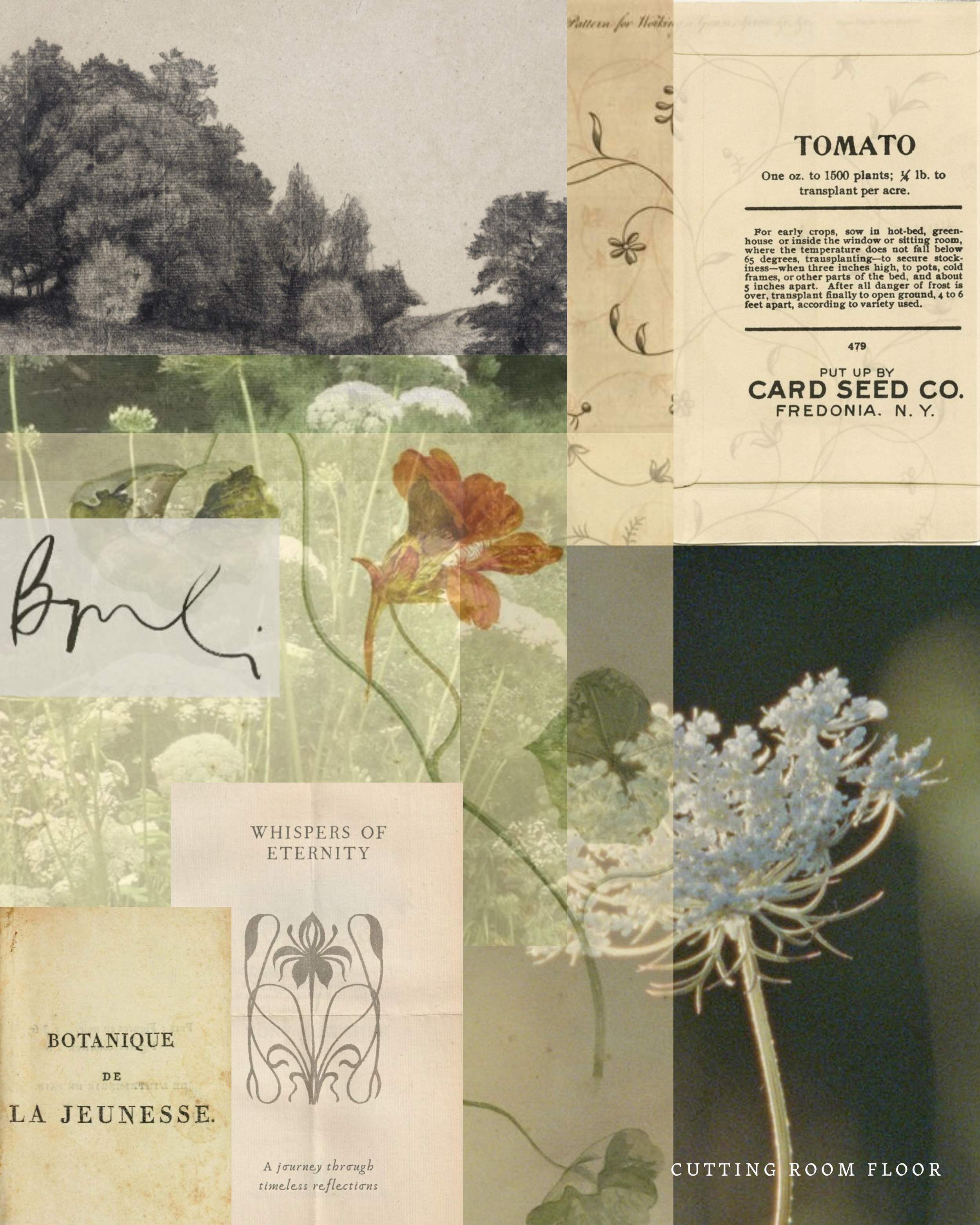 Seahorse Scrap Box (3).png