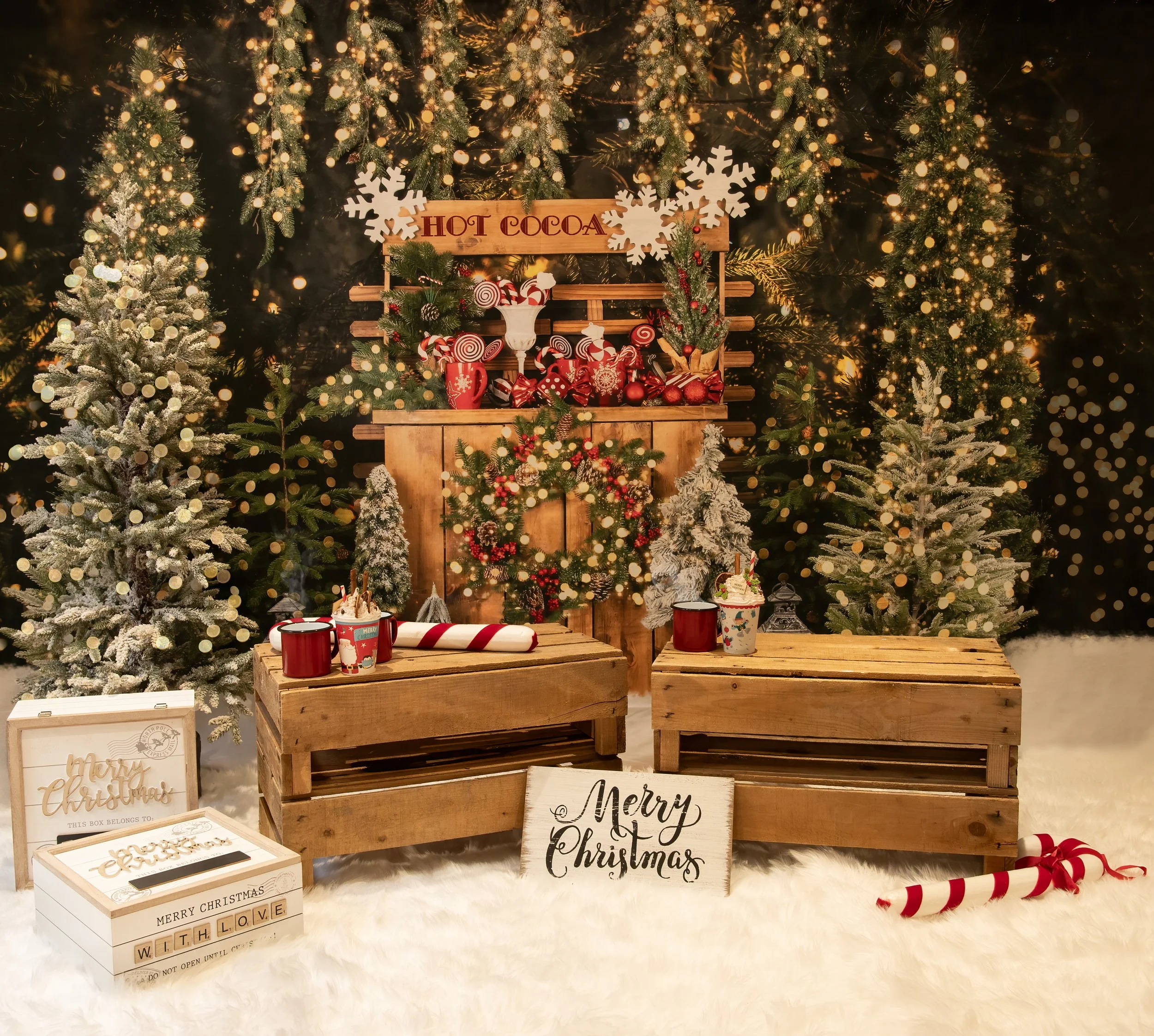 Christmas Mini Photoshoots