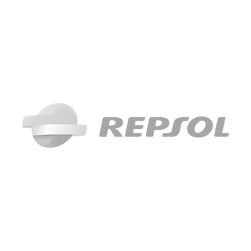 repsol 2.png