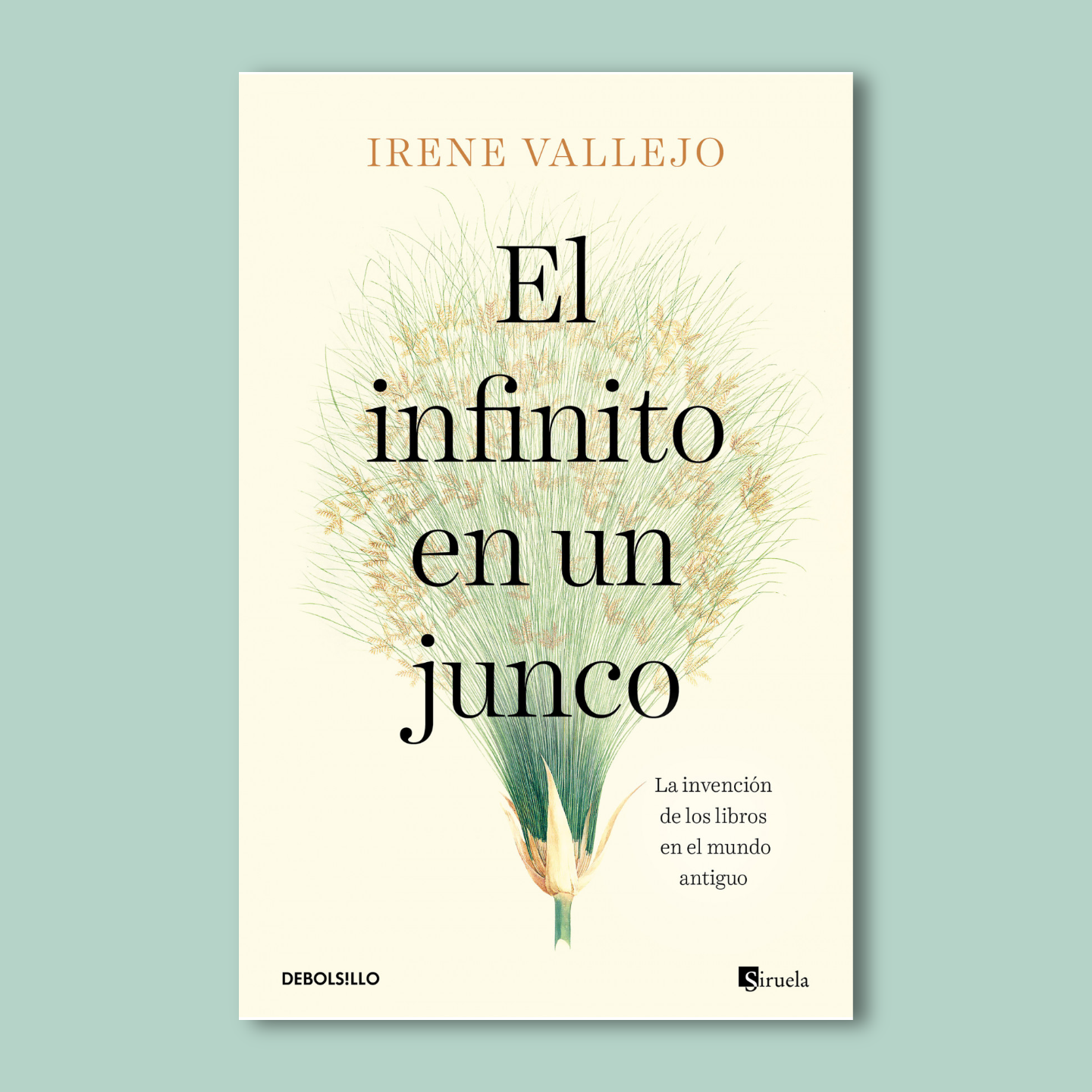 El infinito en un junco