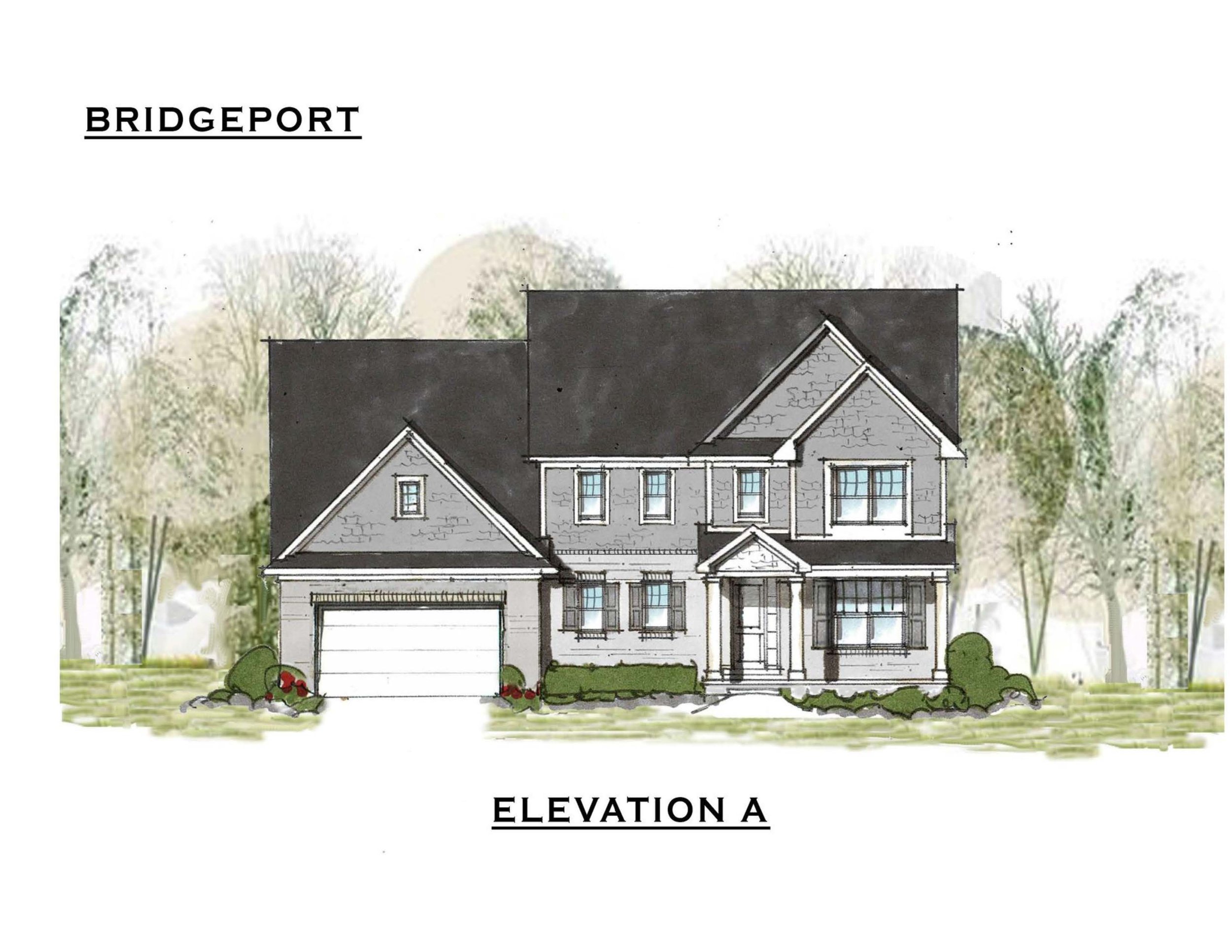 Pine Cove Building Company_Elevation Maps_Page_4_Image_0001.jpg