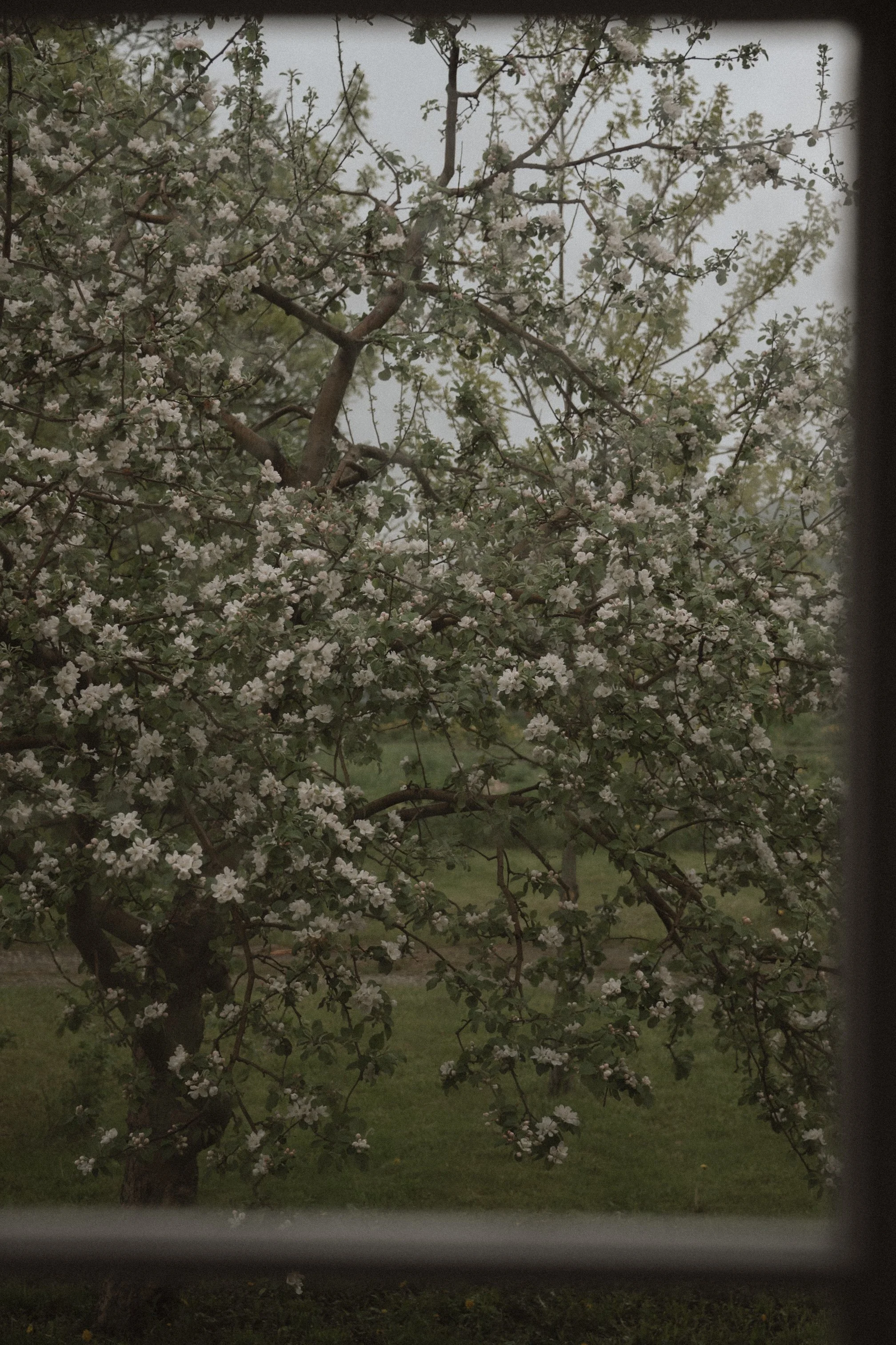 DSC_9836 2.JPG