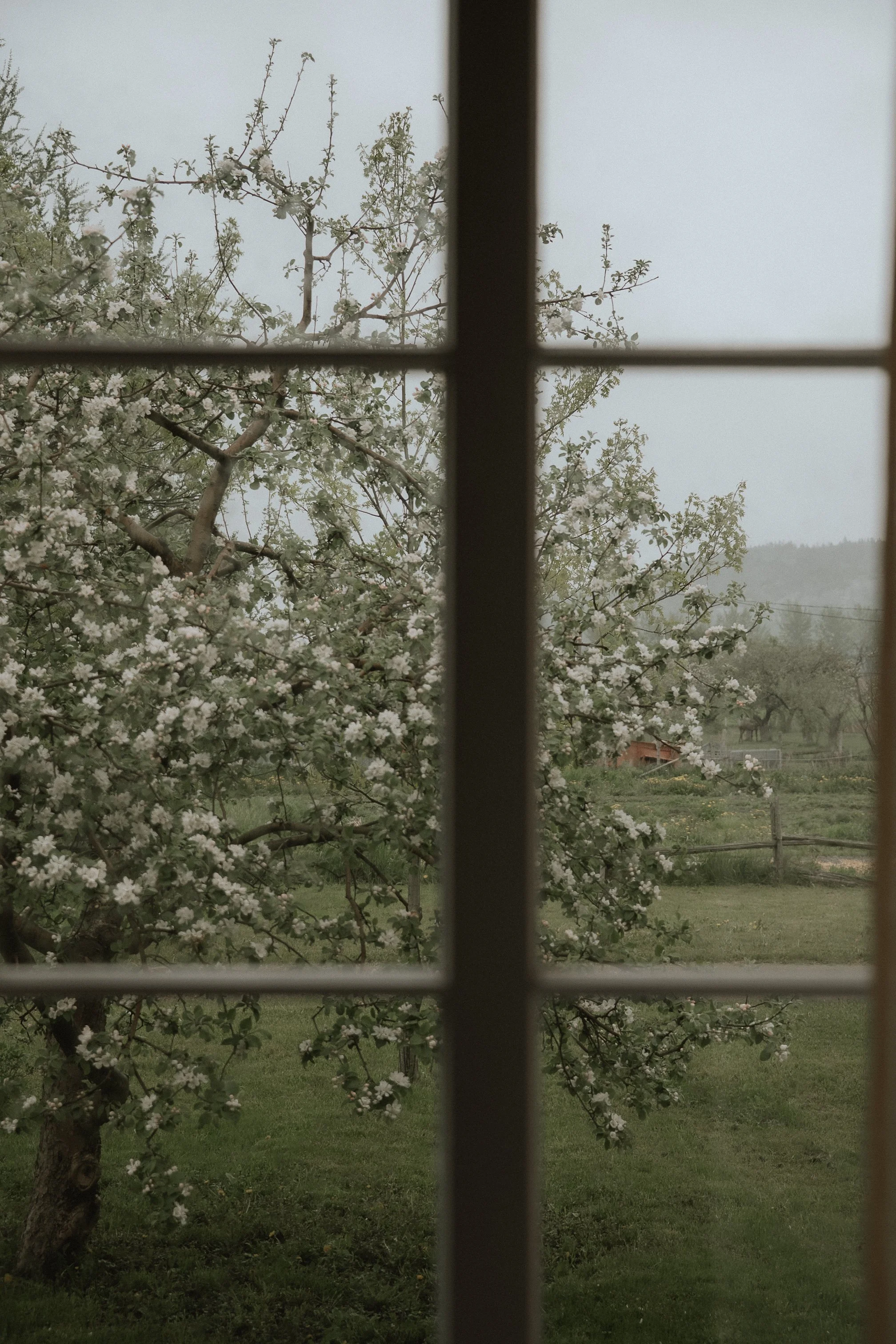 00114_310525_LéaPeruzzo.jpg