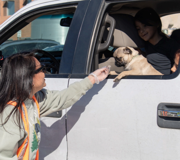 Person wearing clear plastic glove holding hand out to pug dog leaning out the window of white vehicle