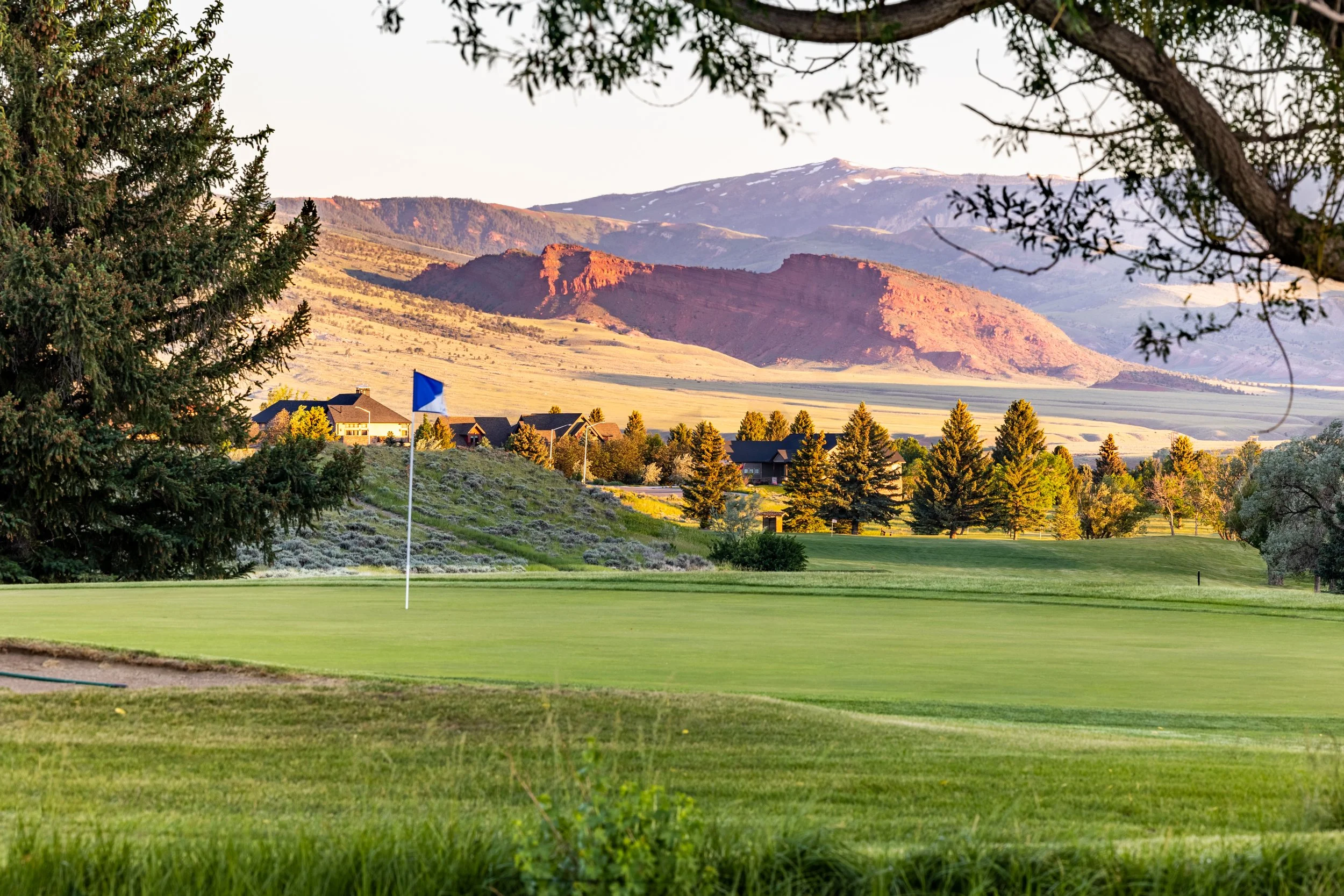 Rules & Bylaws — Olive Glenn Golf Course