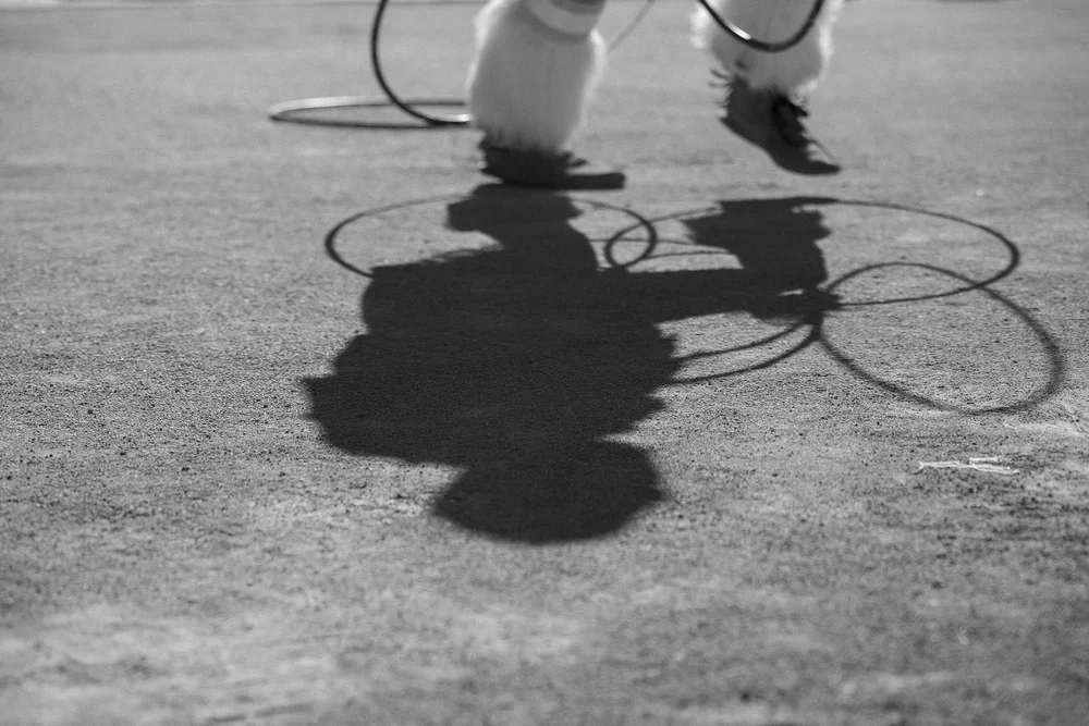 My Shadow Dancers — Polly Whitehorn