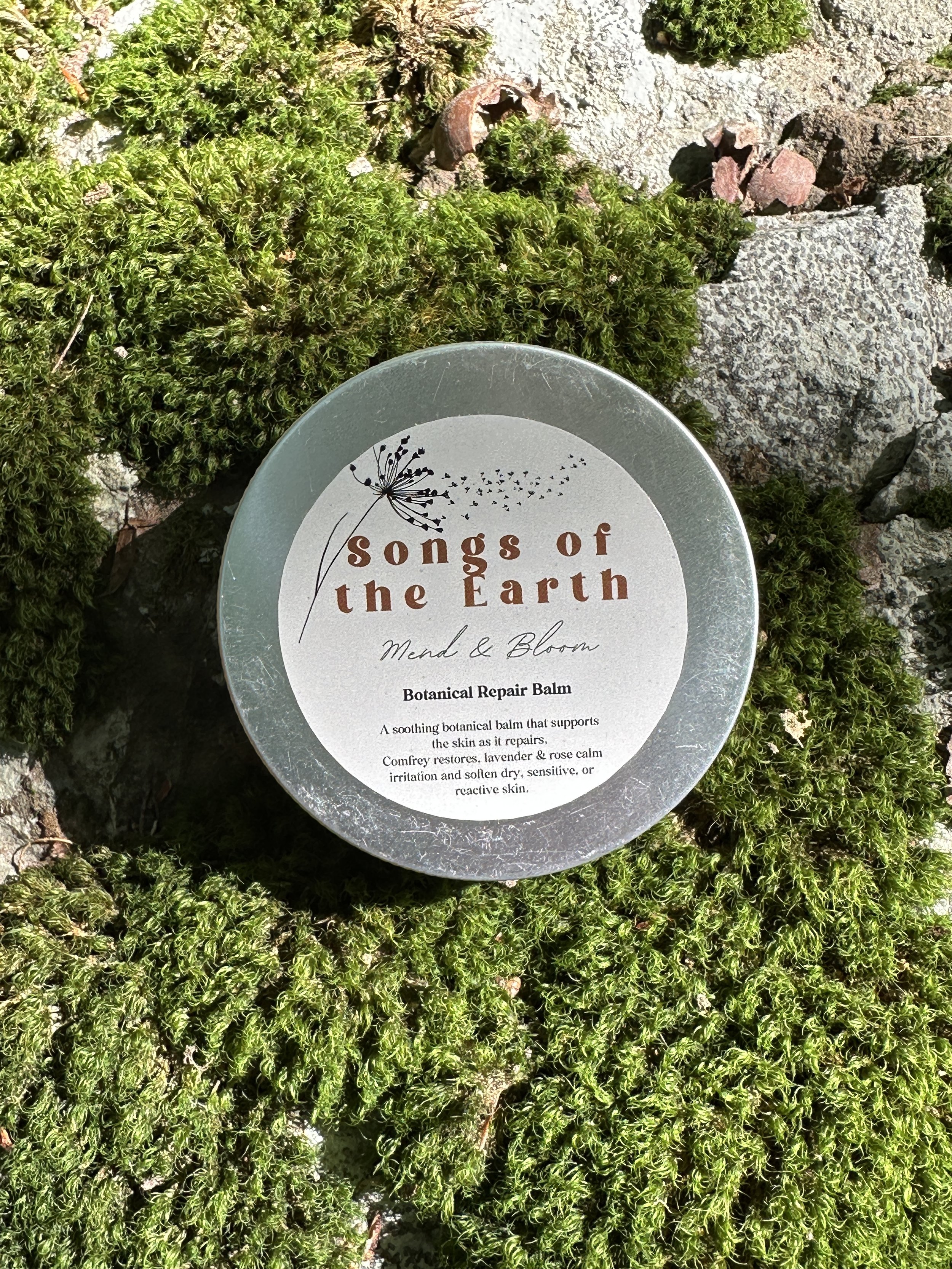 Mend and Bloom Salve 3.JPG