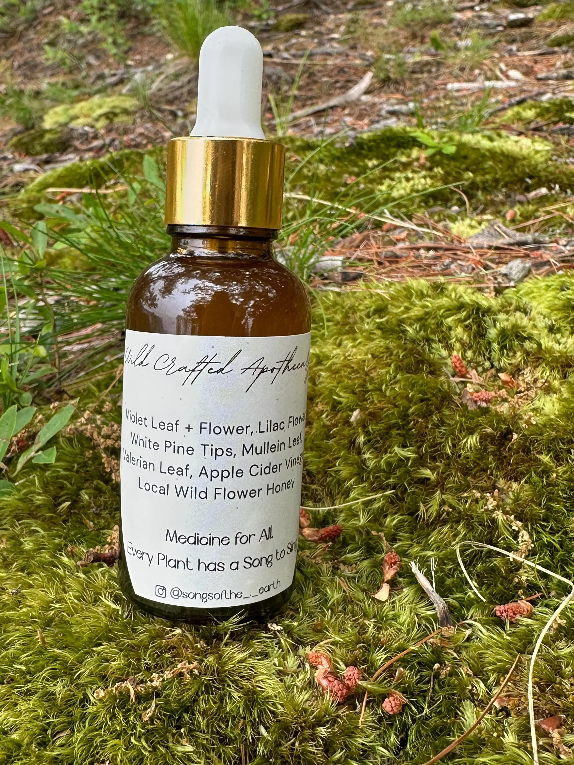 Heart of the Hollow 2.webp