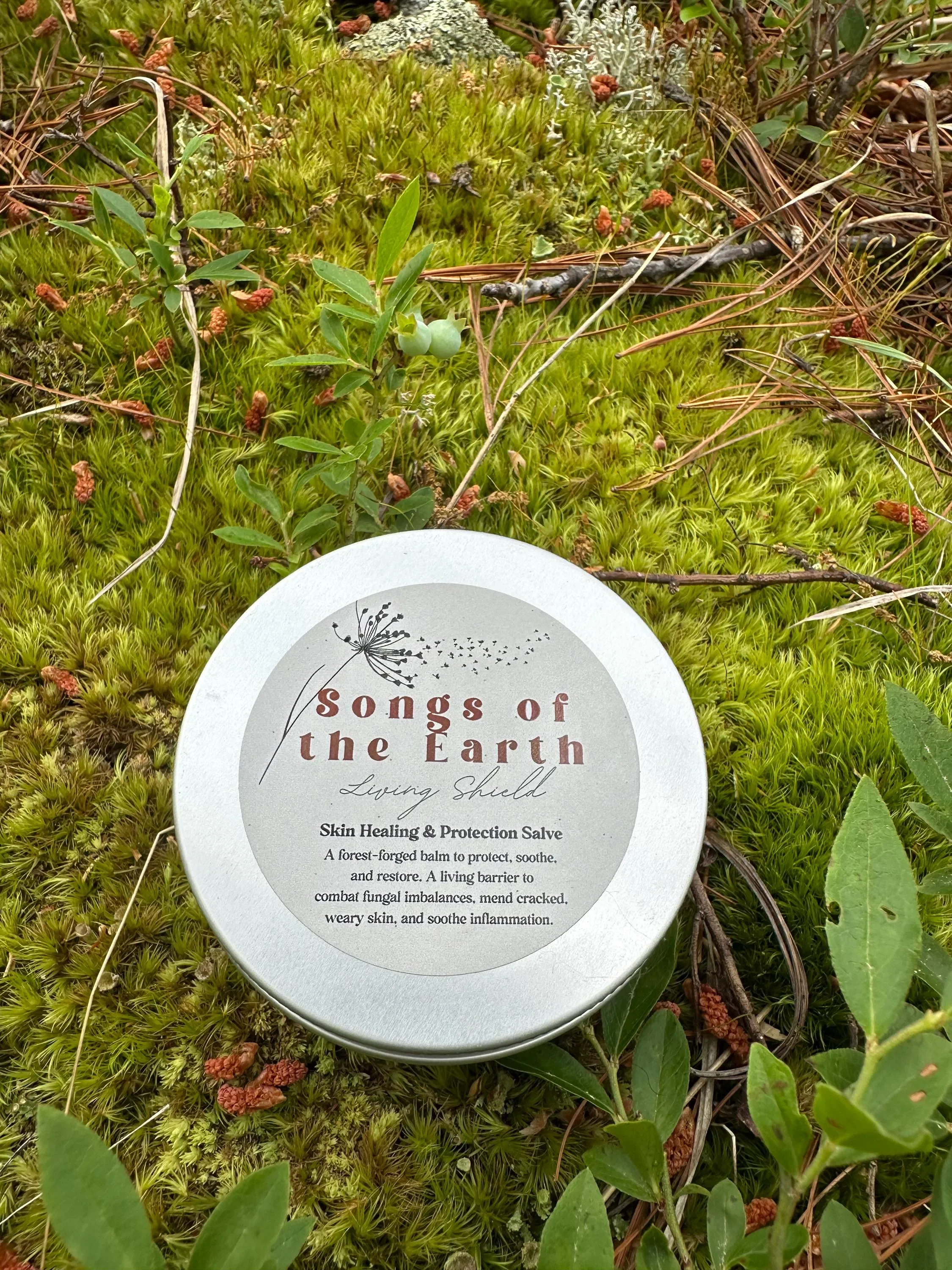 Living Shield 1.webp