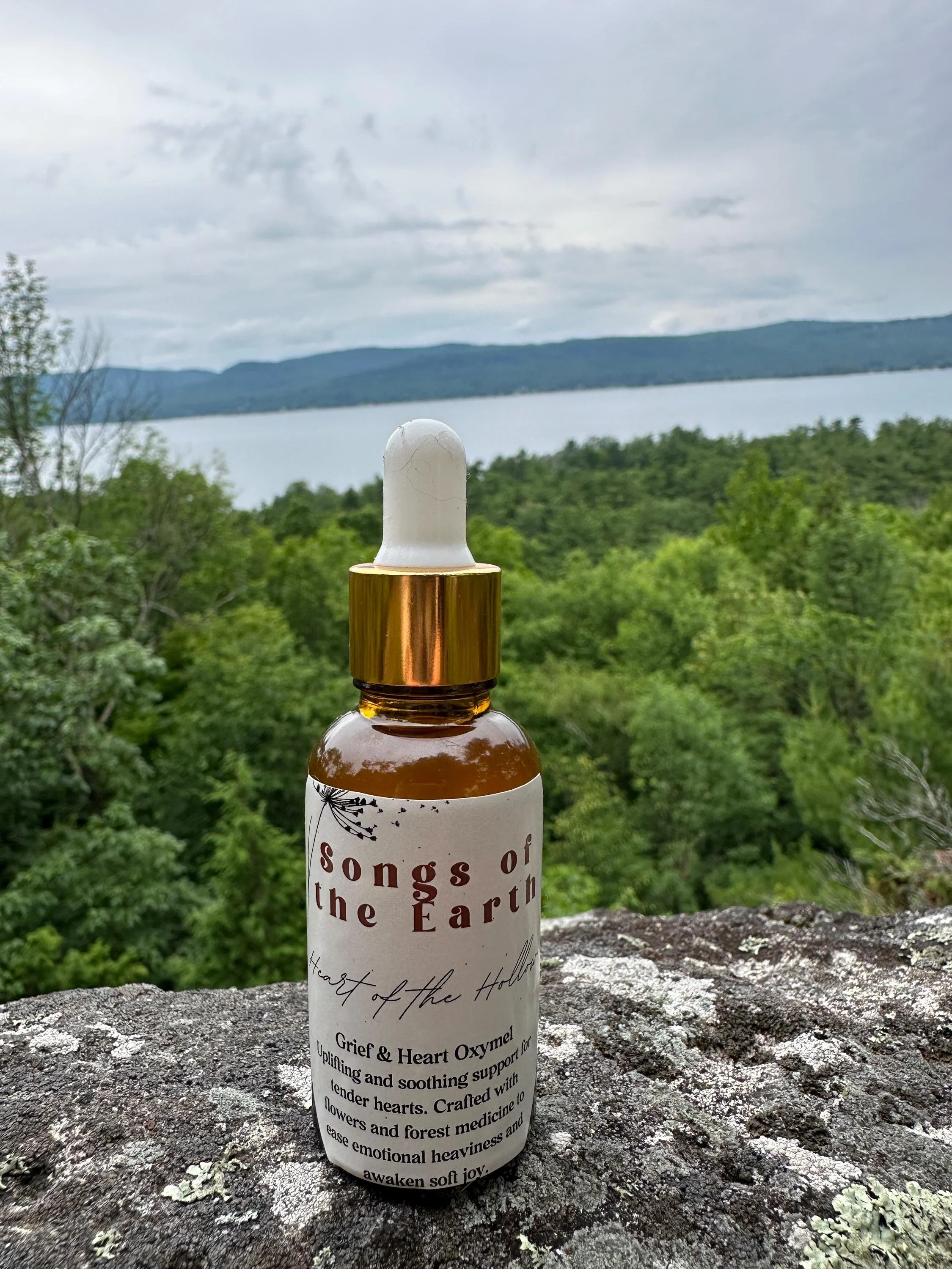 HEART OF THE HOLLOW – Grief & Heart Oxymel