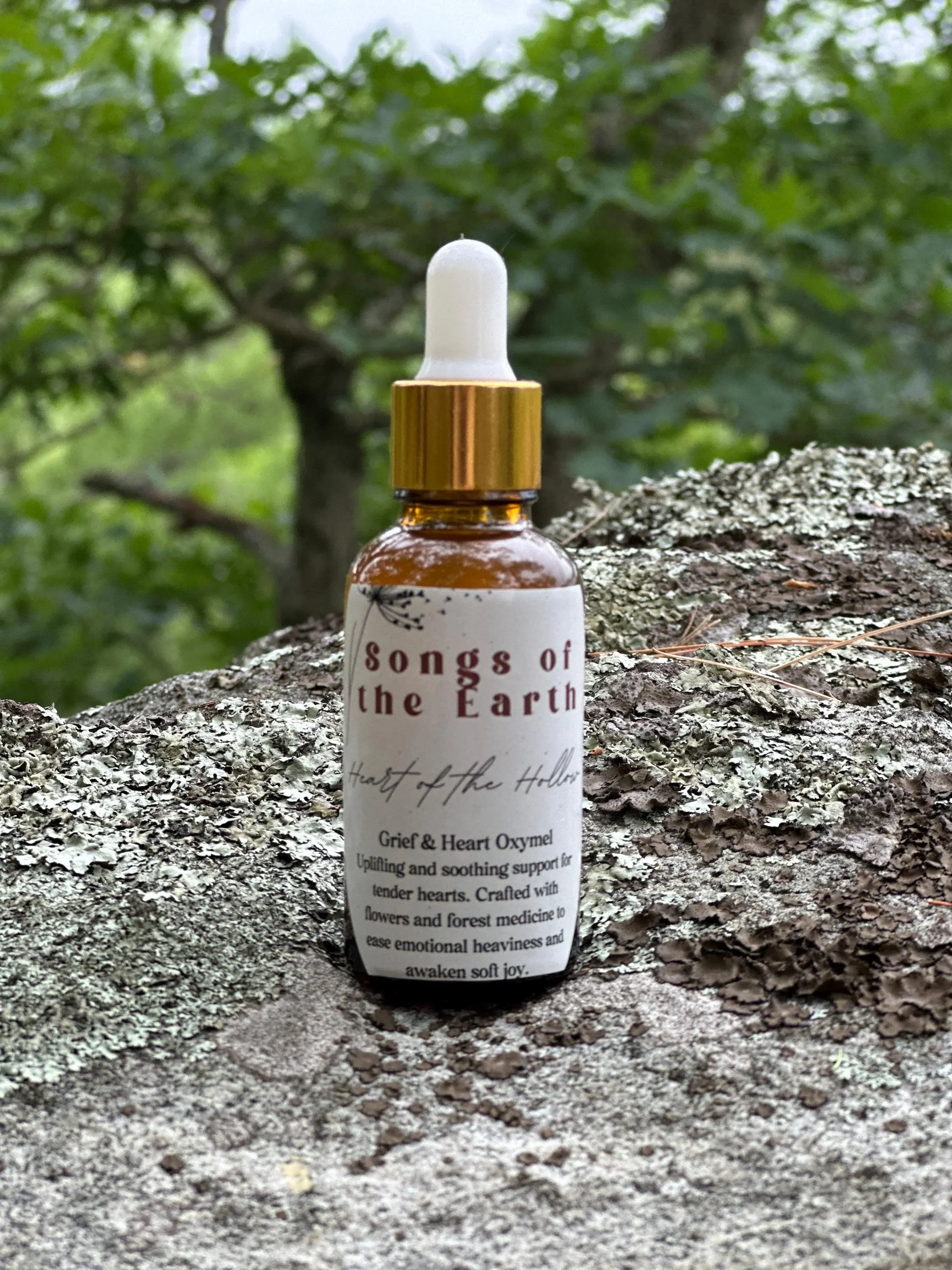 Heart of the Hollow 1.webp