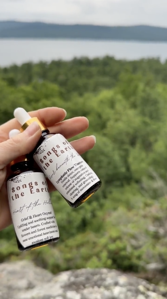 Heart of the Hollow 3.png