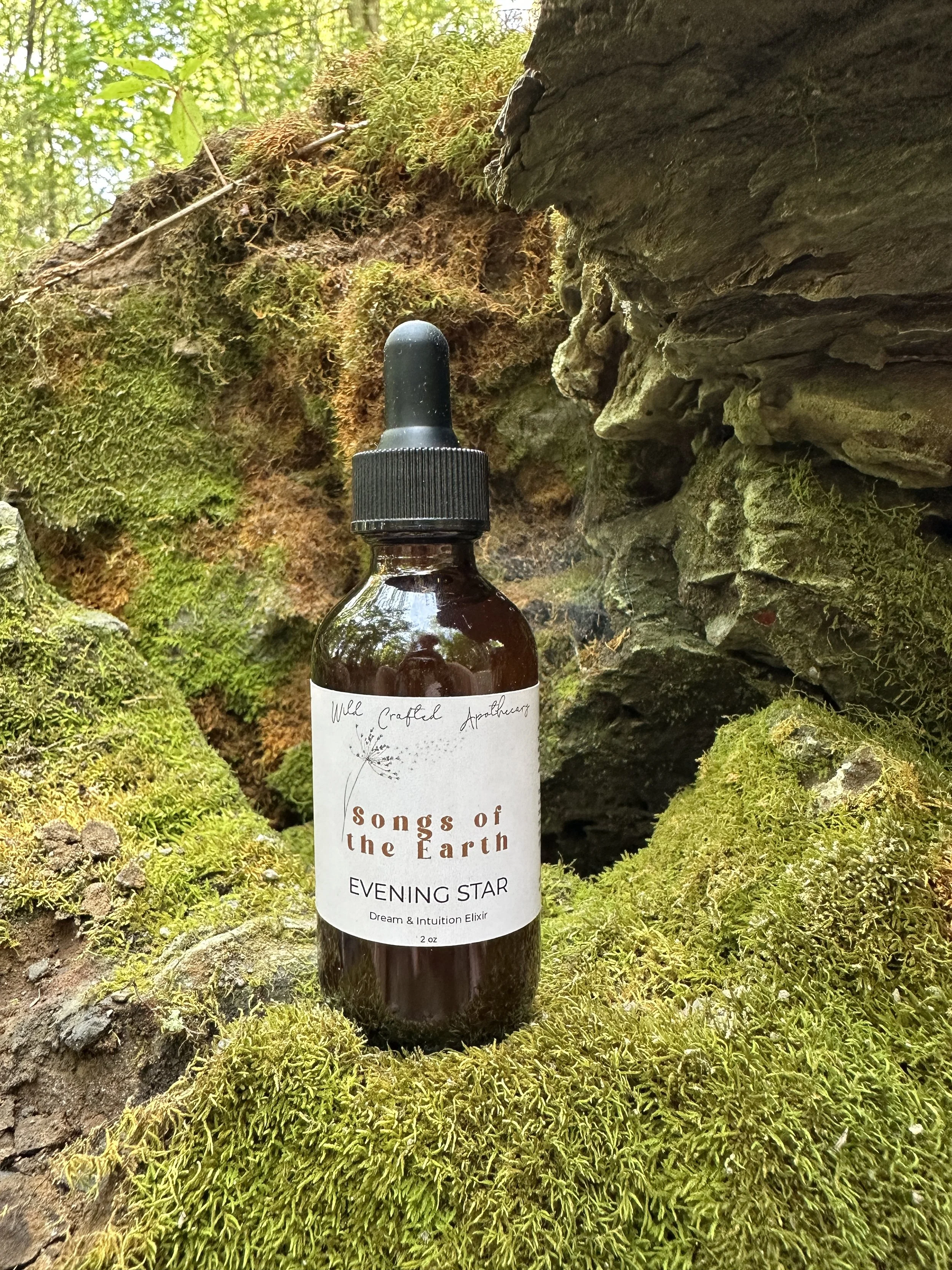 Evening Star Elixir 1.JPG