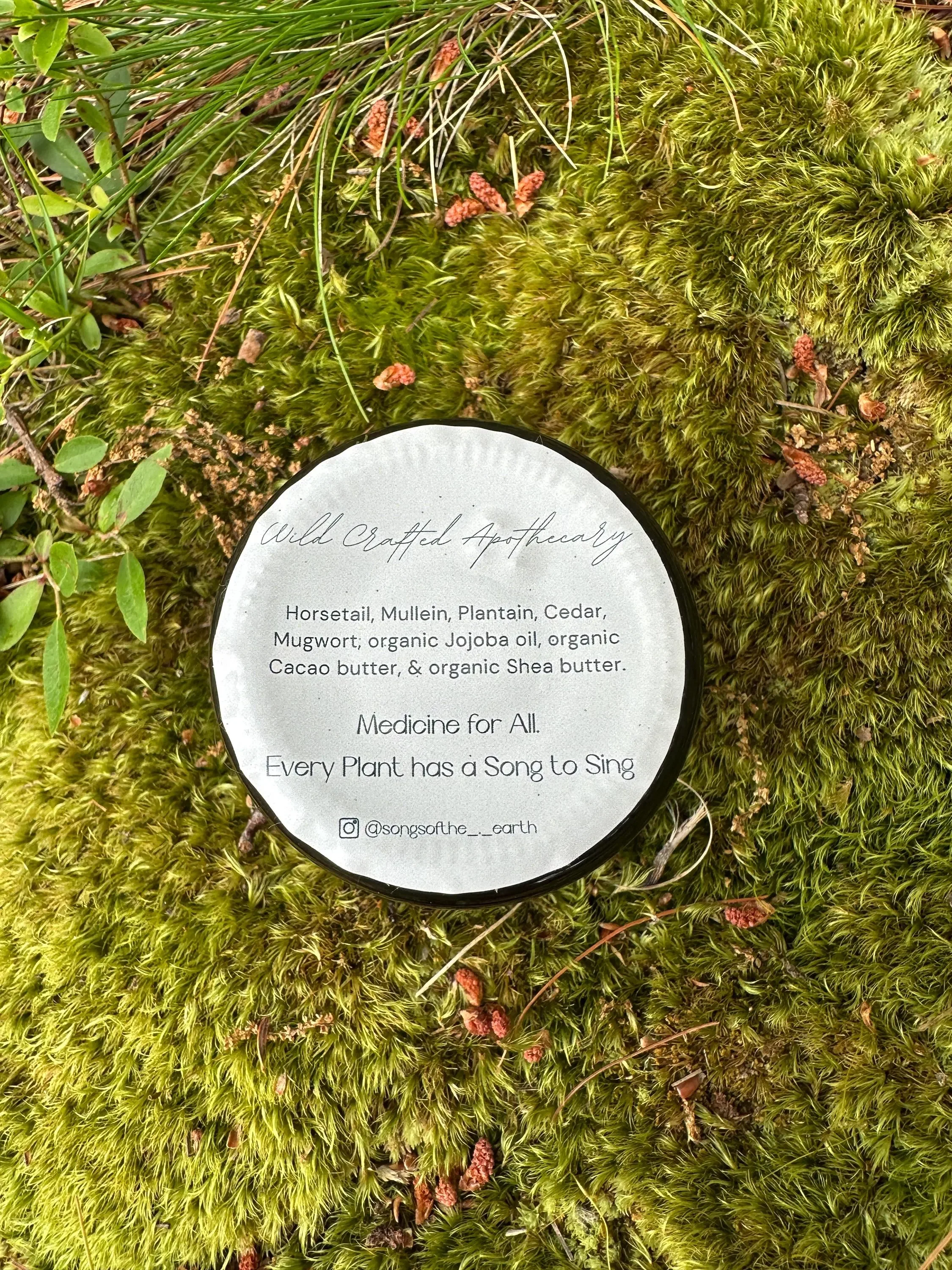 Crown of the Grove 5.webp