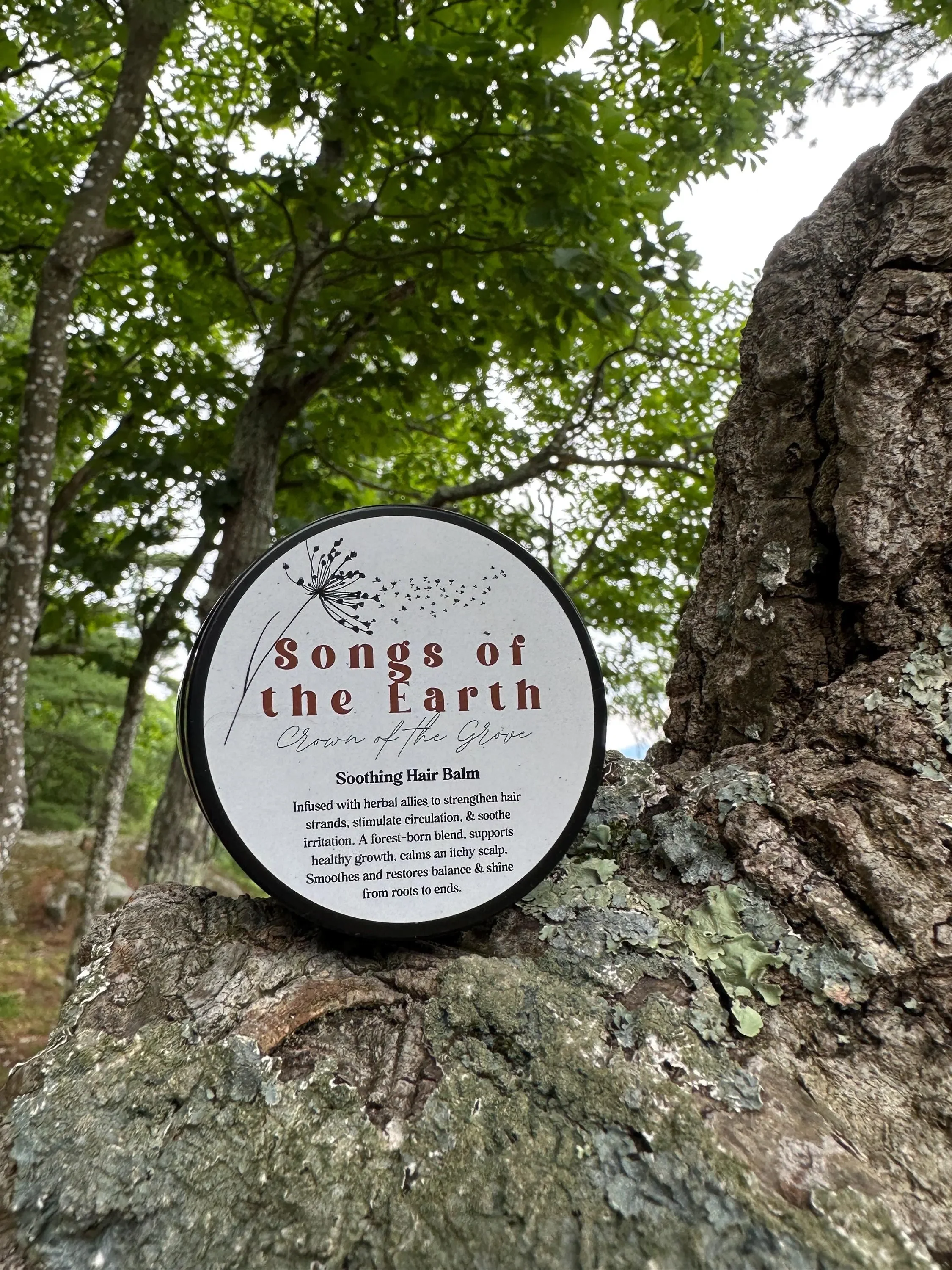 Crown of the Grove 2.webp