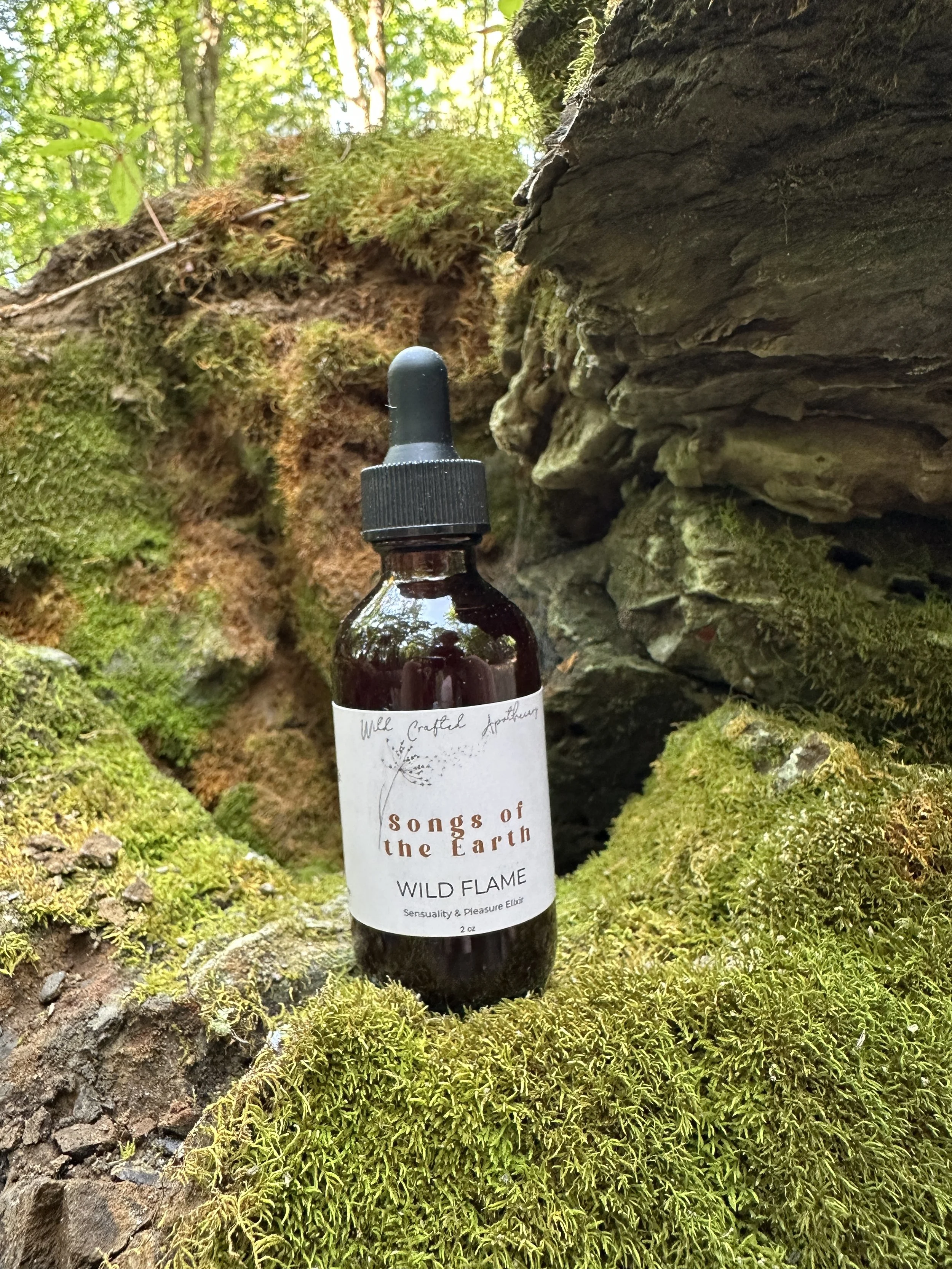 Wild Flame Elixir 1.JPG