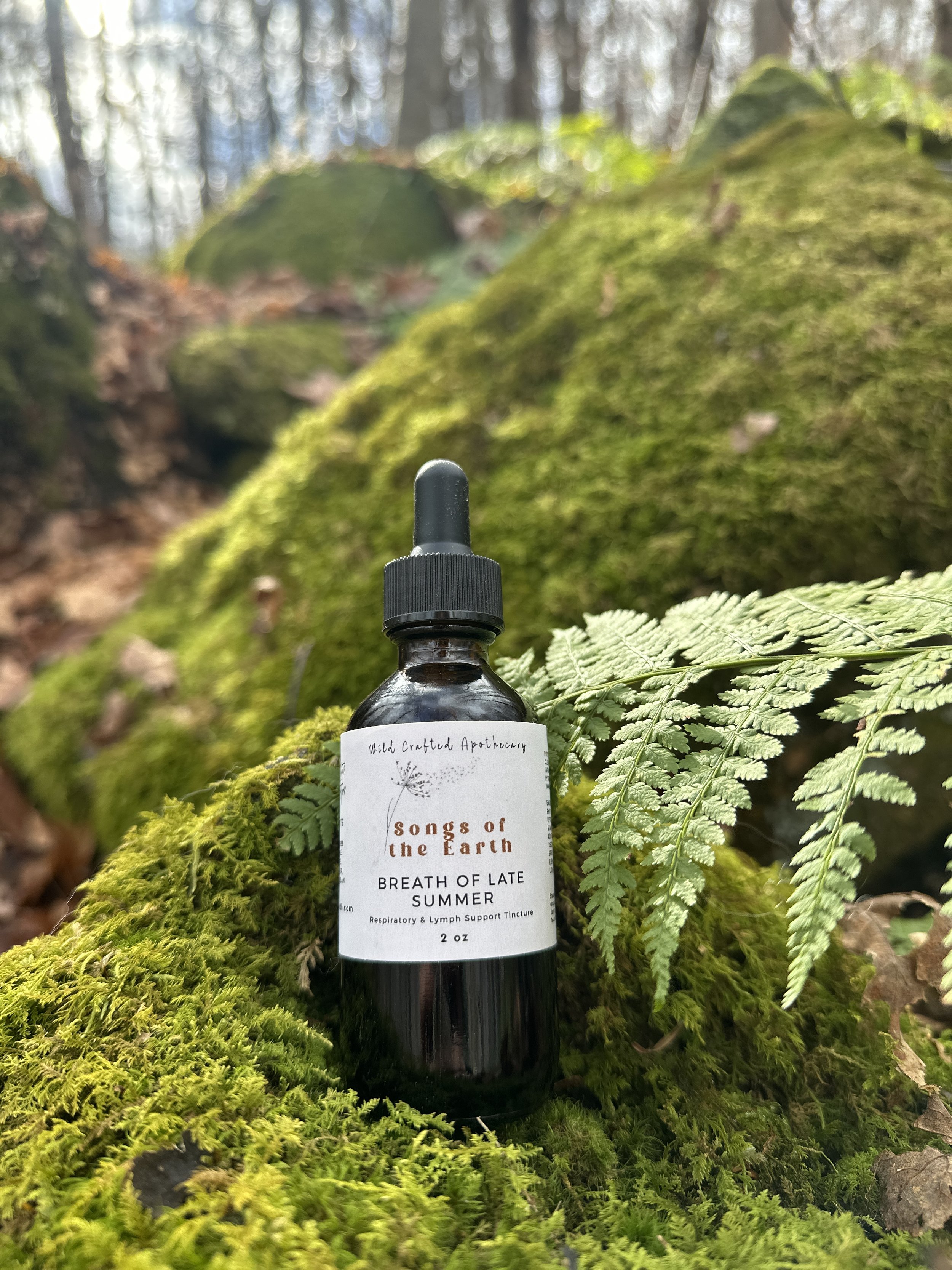 BREATH OF LATE SUMMER – Respiratory + Lymph Tincture