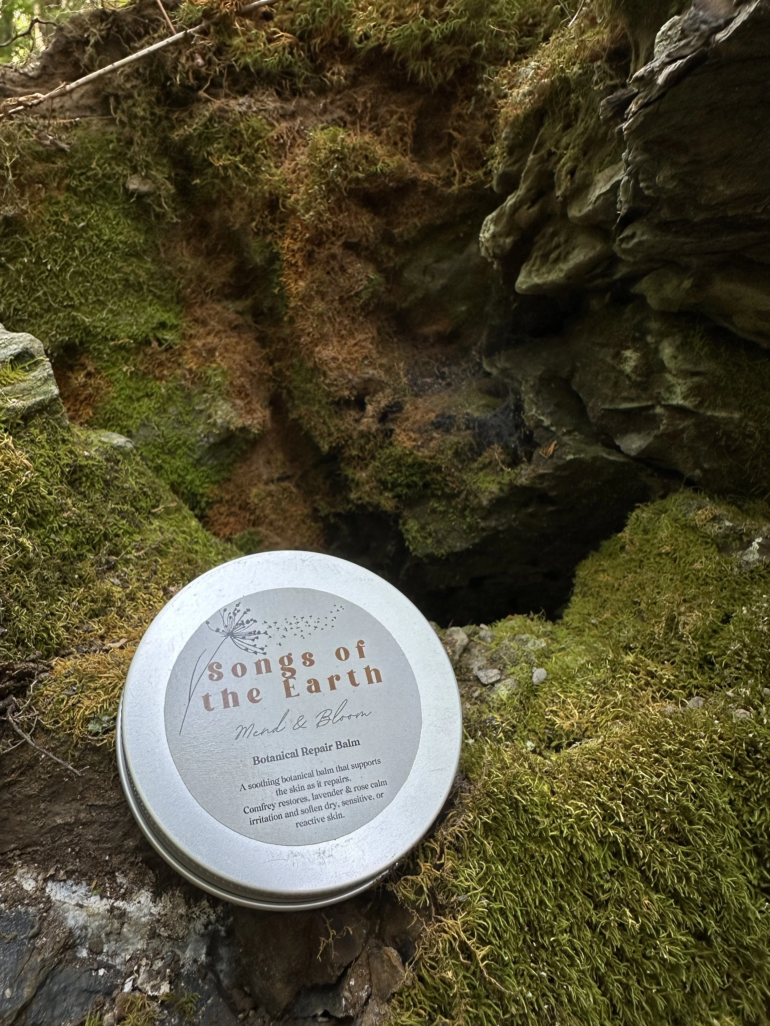 Mend and Bloom Salve 1.JPG