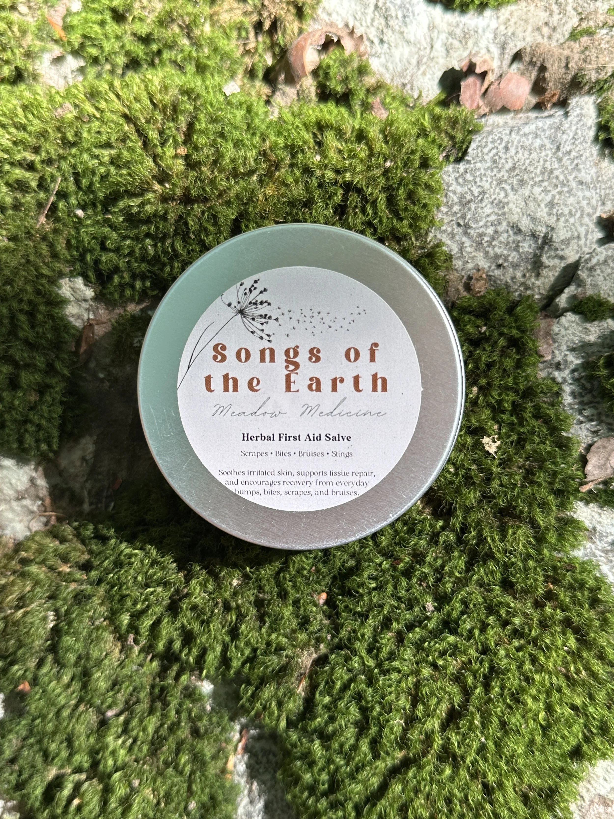Meadow Medicine Herbal First Aid 2.JPG