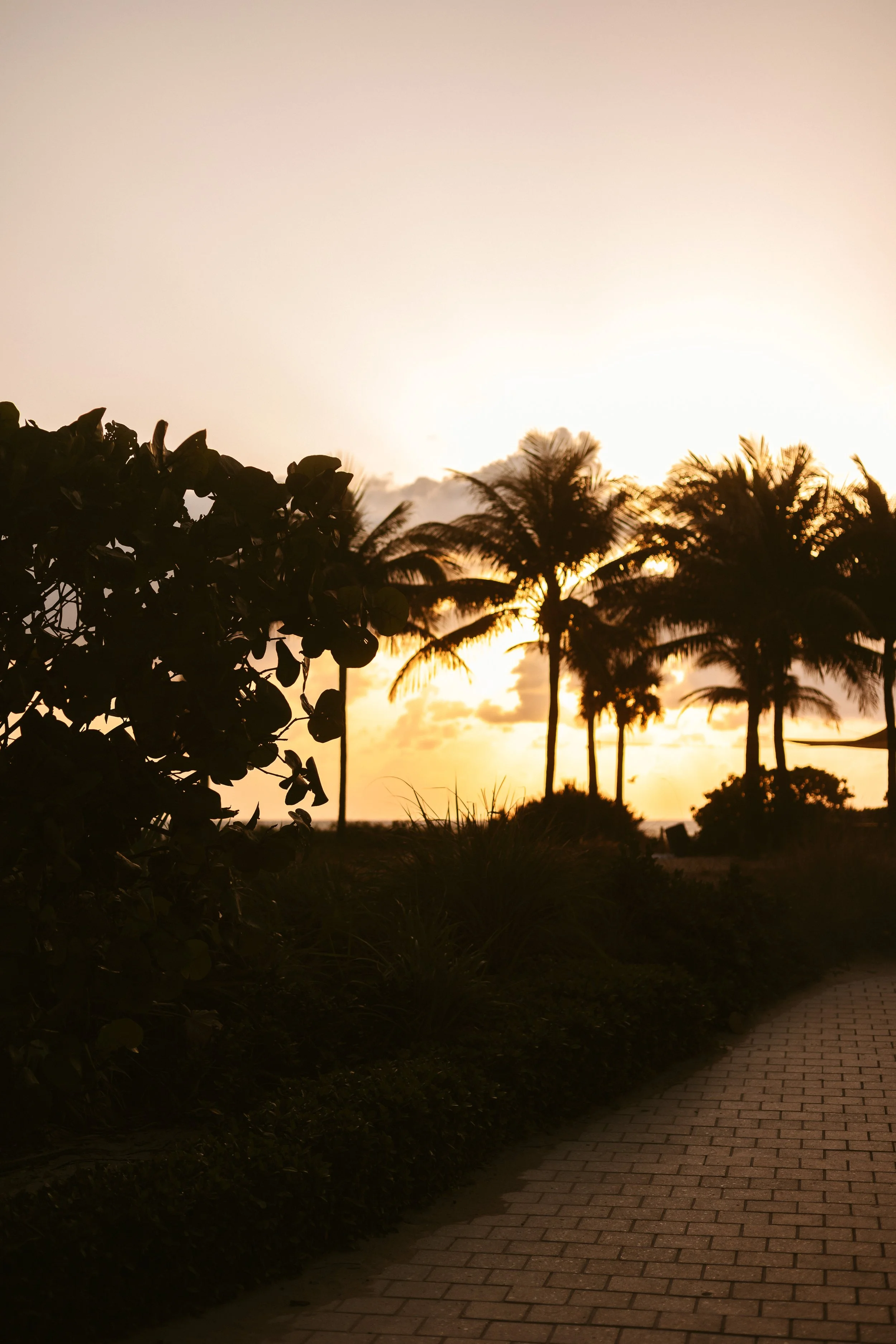 Vanessa - fort lauderdale-7357.jpg