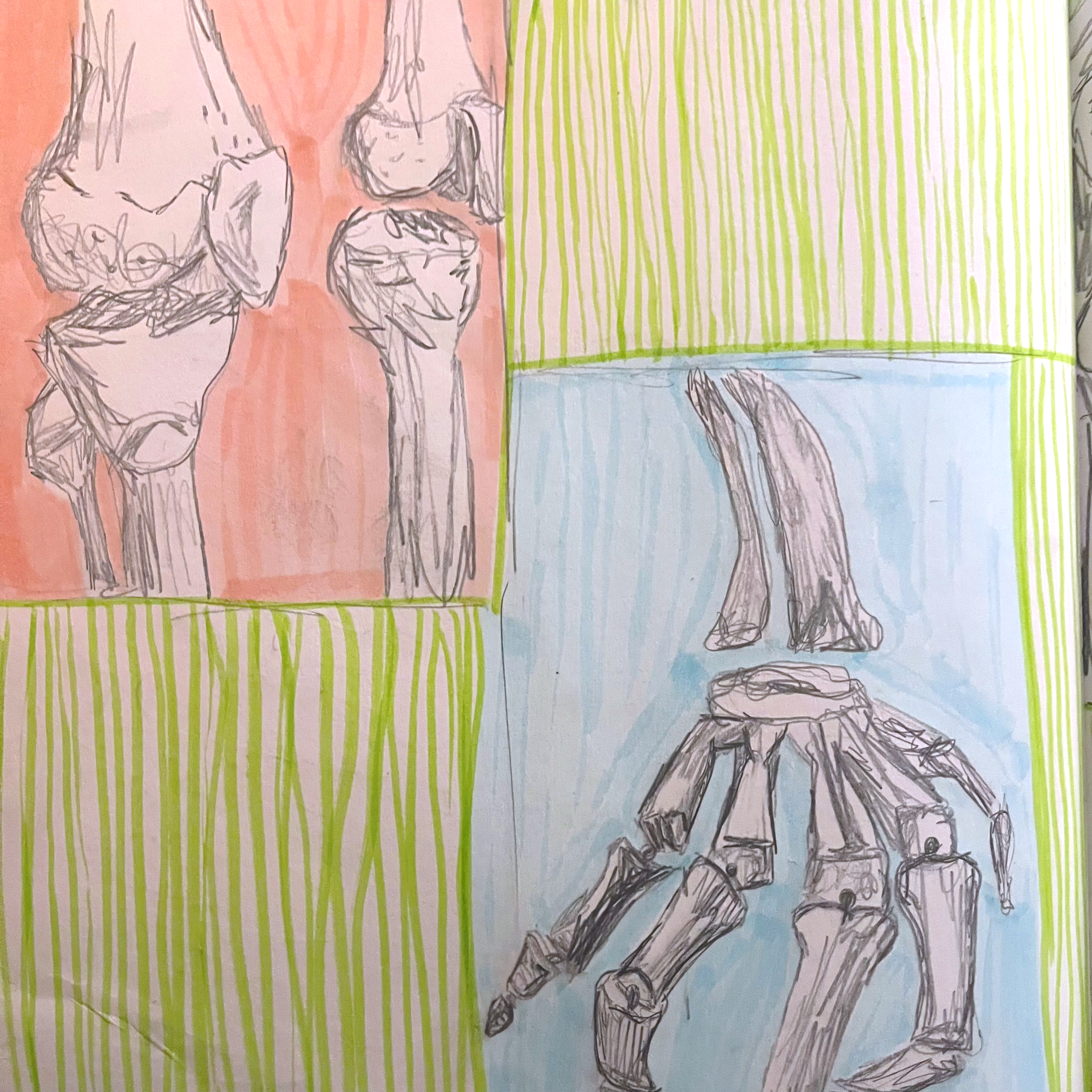 sketchbook skeletal study, 2021