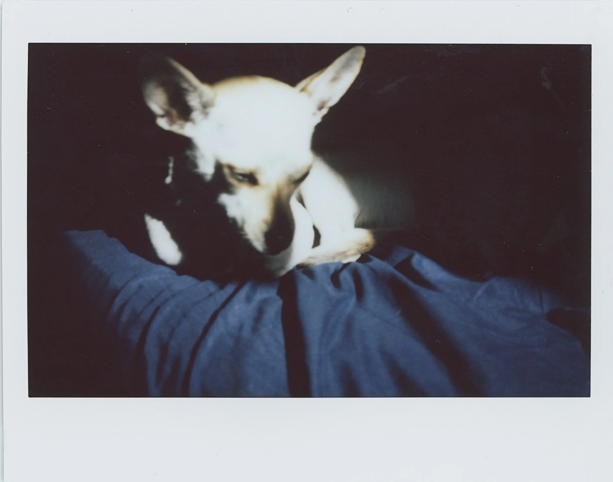 Untitled (2) (45).jpg