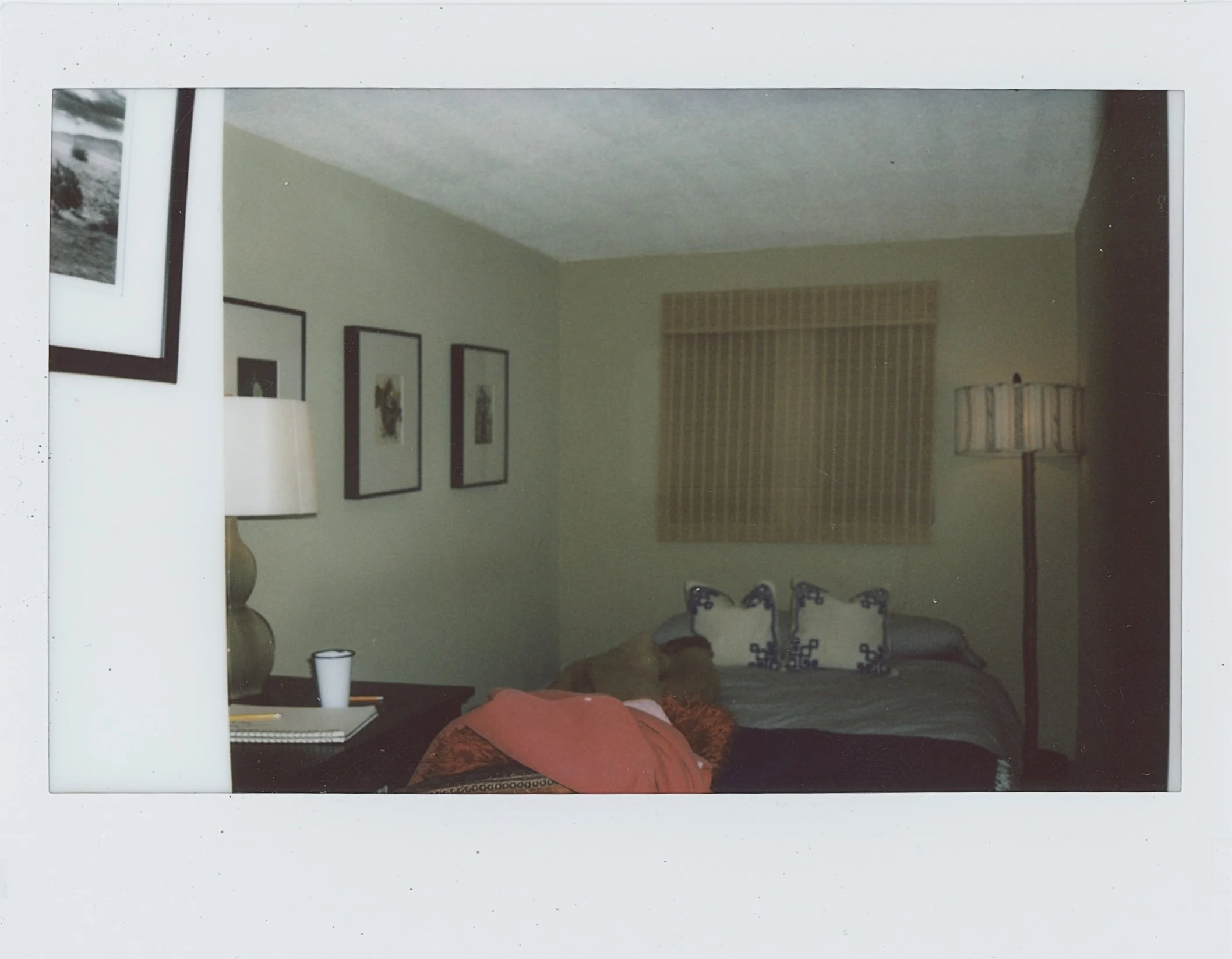 Untitled (2) (35).jpg