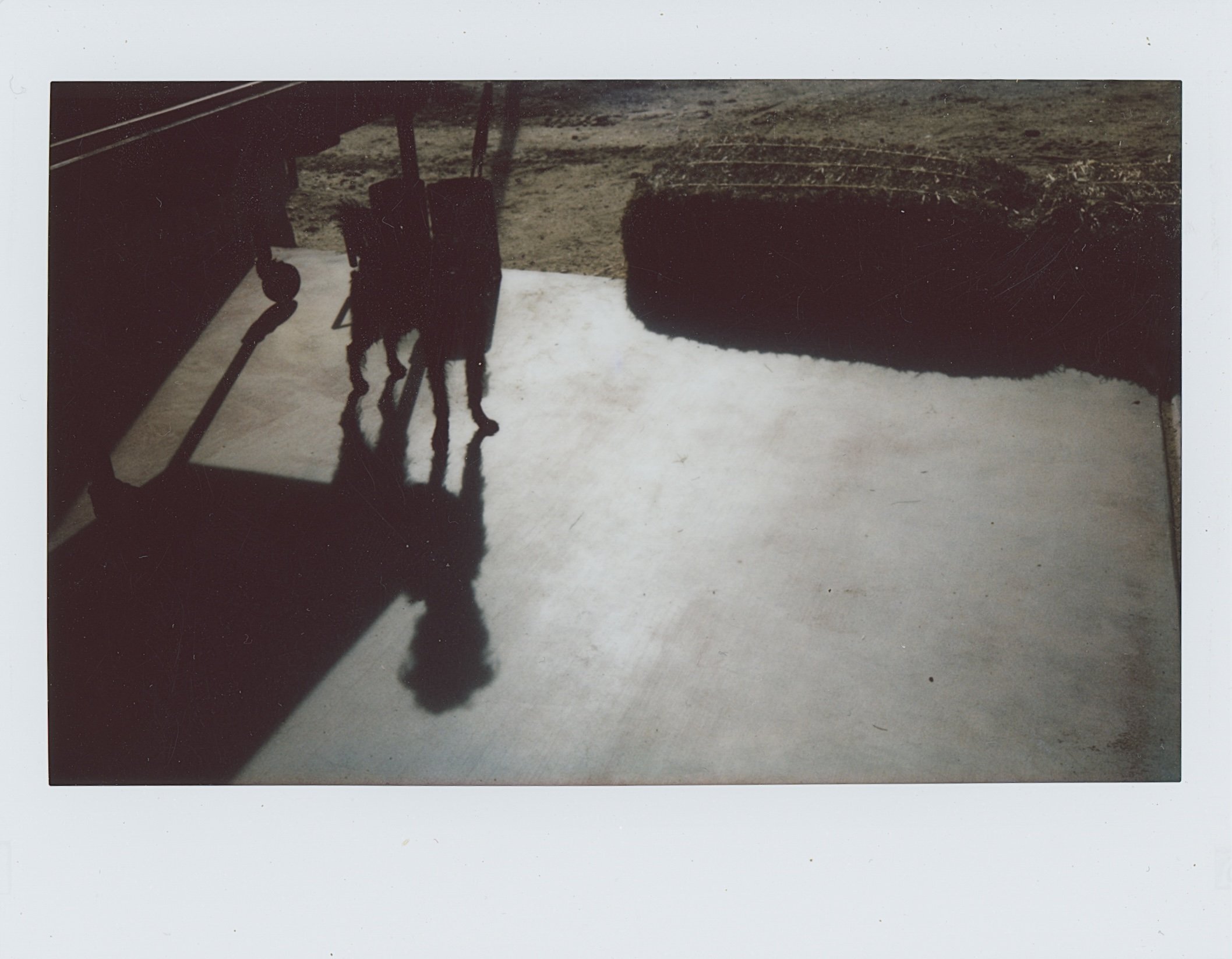 Untitled (2) (10).jpg