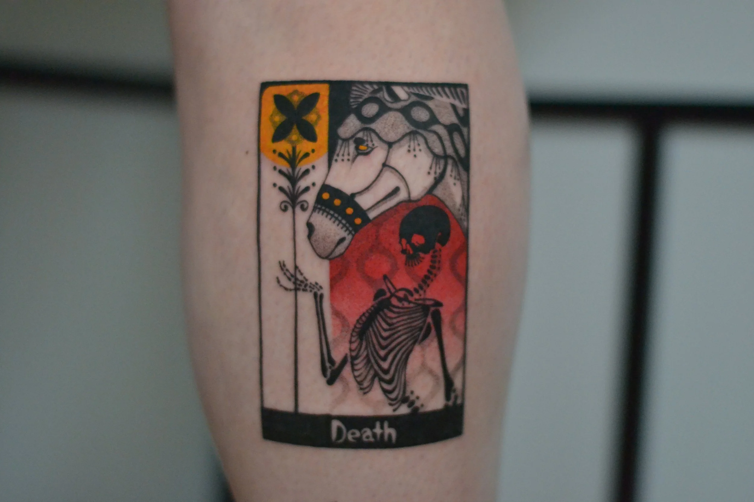 DSC_6615.jpeg