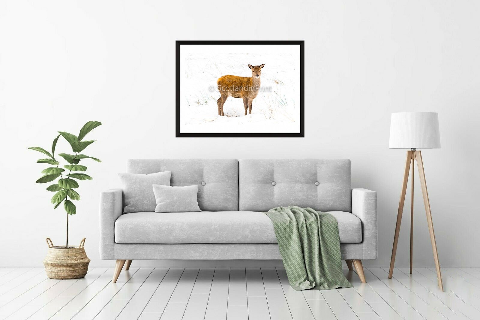 https://i.etsystatic.com/27514038/r/il/f5a27f/2836304334/il_fullxfull.2836304334_5o8o.jpg