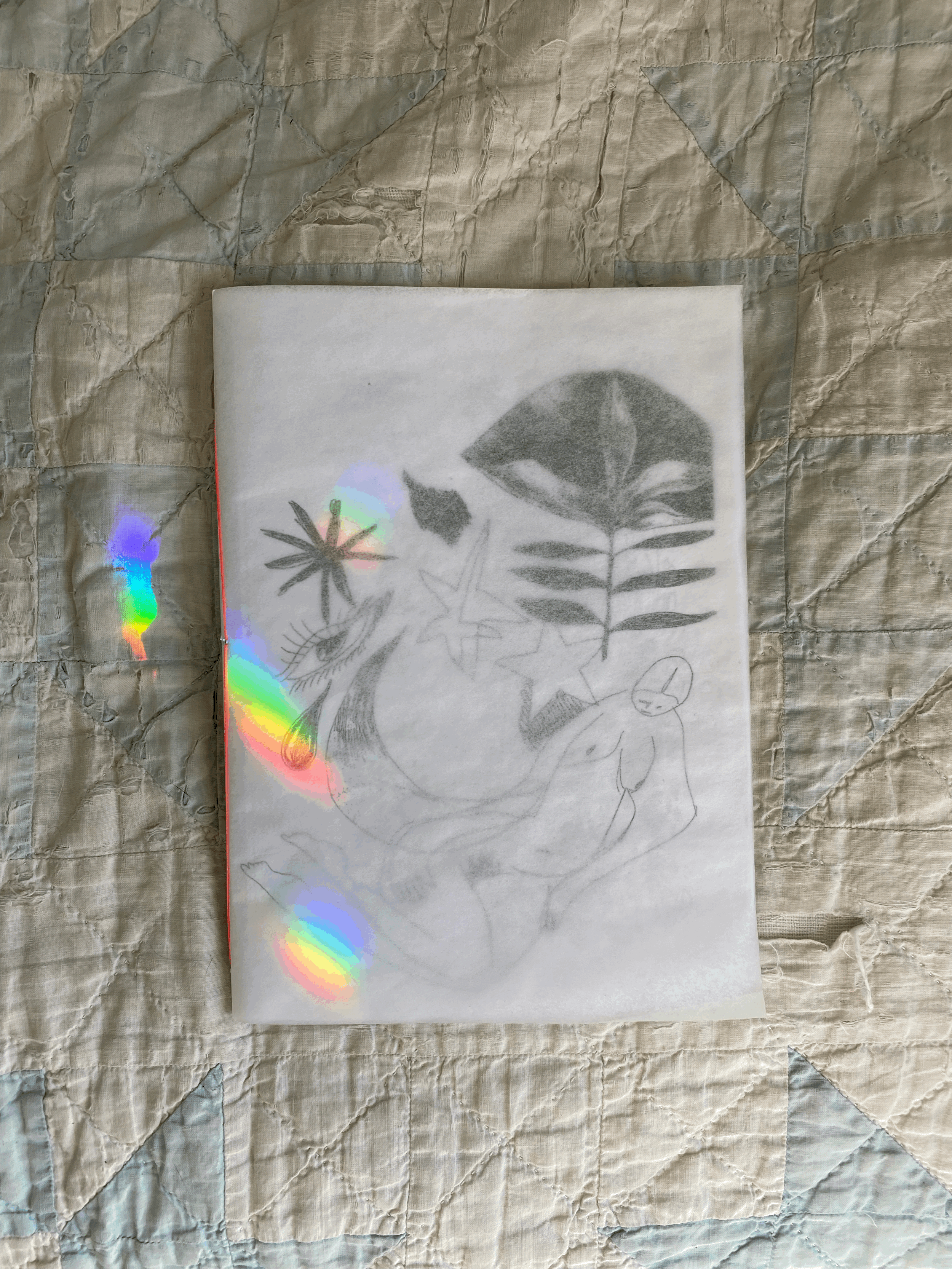 tempImaged2SP5g.gif