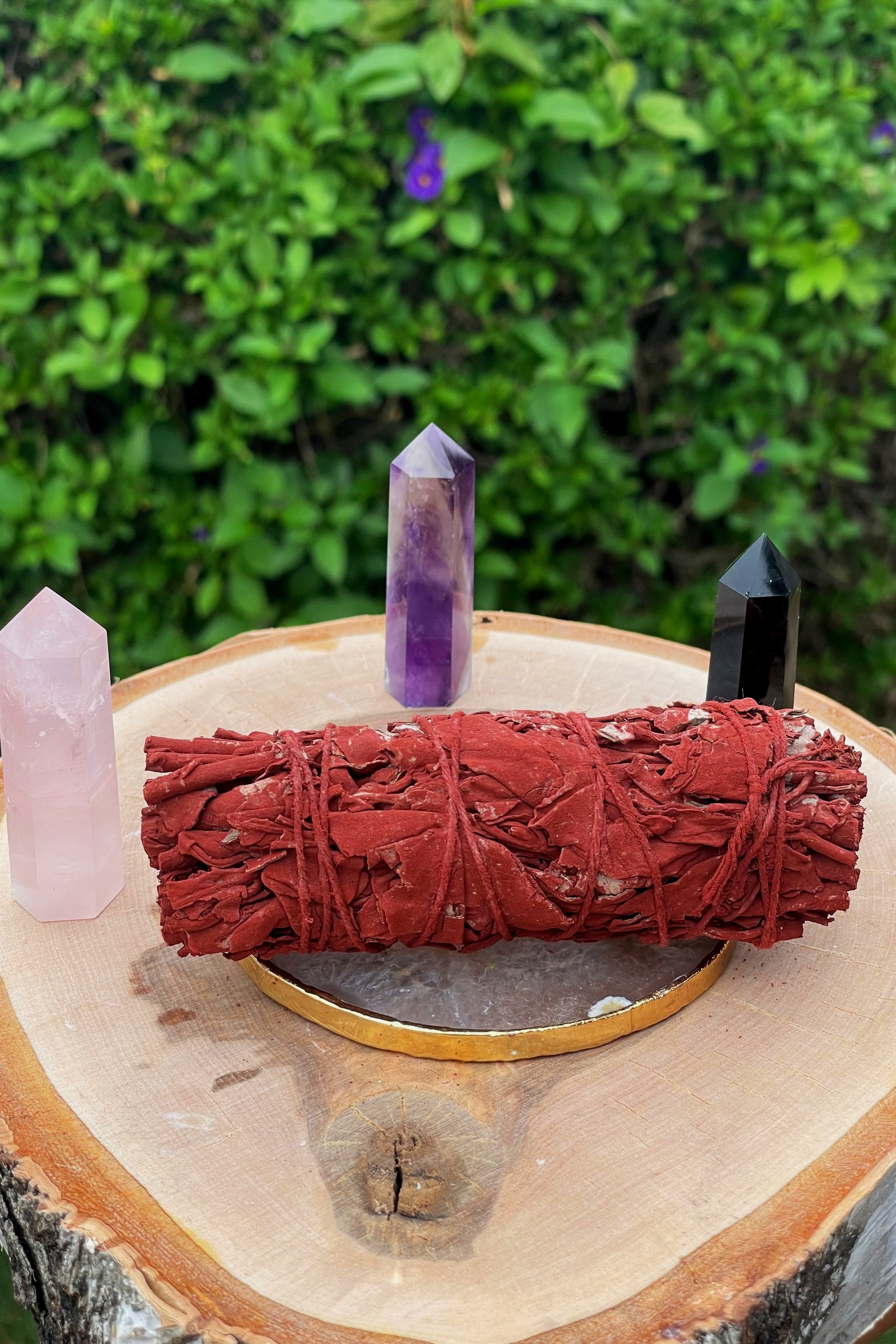 Dragon's Blood Sage
