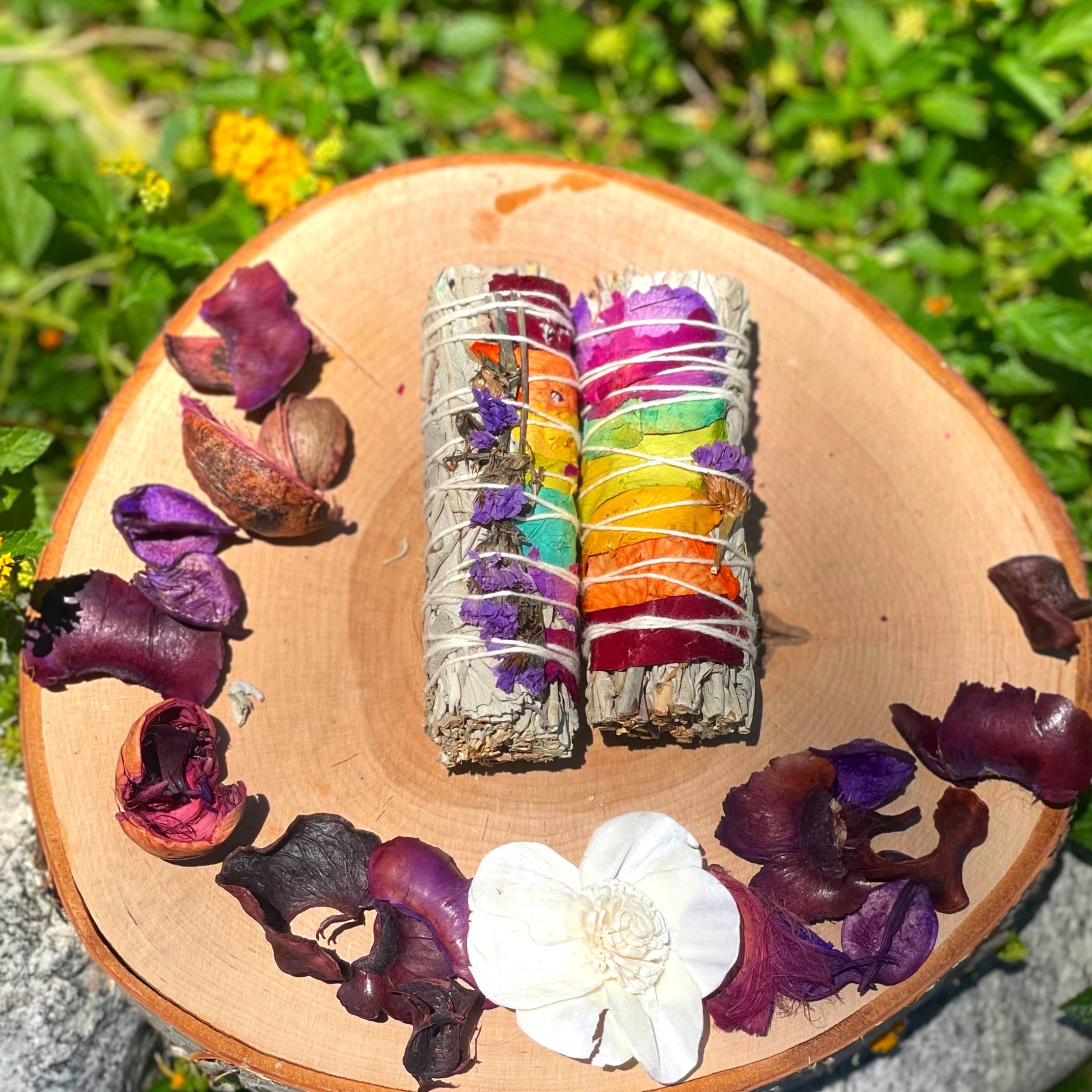 rainbow+two+.jpg