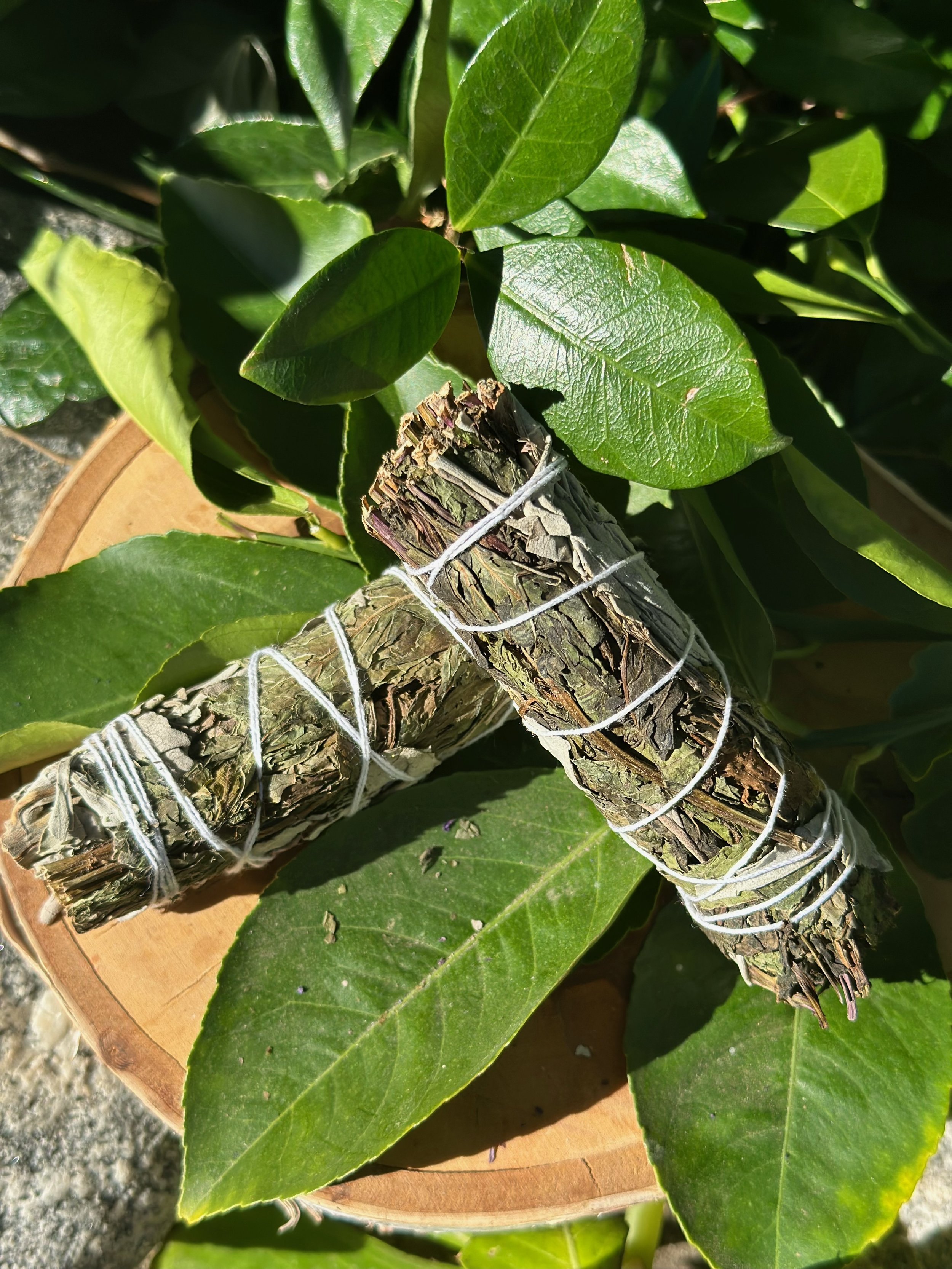 Peppermint Holiday Sage