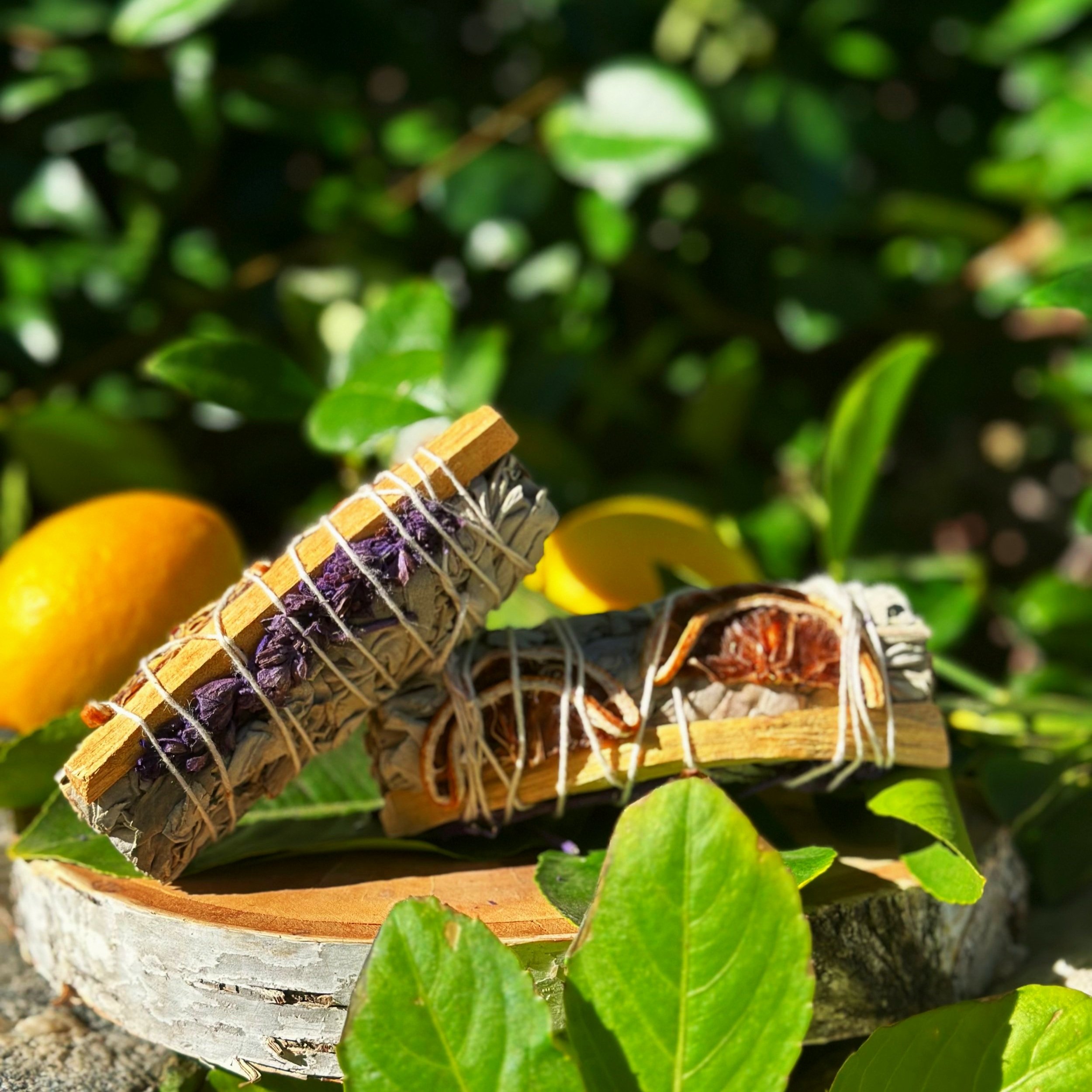 Florida Water Sage (Limited Edition)