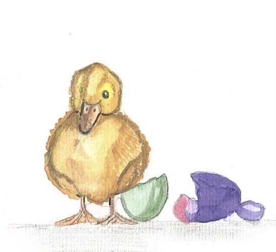 Easter Baby Duckling Card