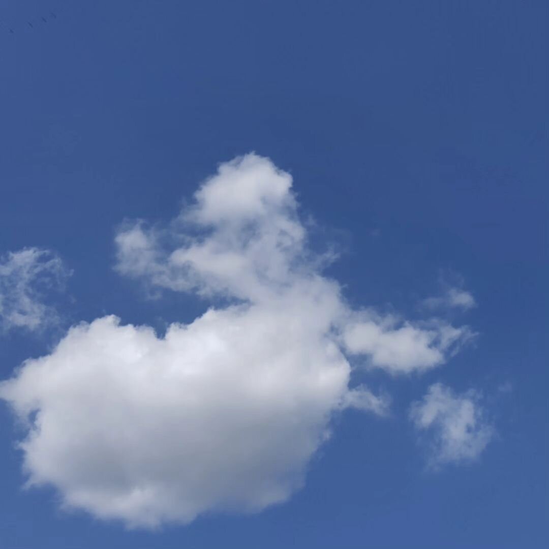 Today's ☁️ inspiration
.
.
#CloudFactoryClouds #LookUp #sky #cloud #CloudOfTheDay