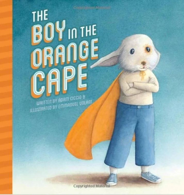Book cover titled 'The Boy in the Orange Cape' showing a boy with a bunny face, crossed arms, blue pants, sneakers, and an orange cape.