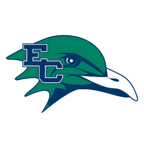 Logo of a bird with a green and blue color scheme, featuring the letters 'EC' on its head