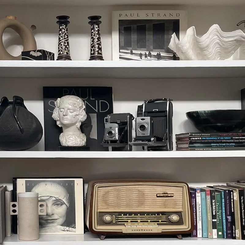 cabinet-styling-livingroom-interiors-nina-van-alphen-long-island.jpg