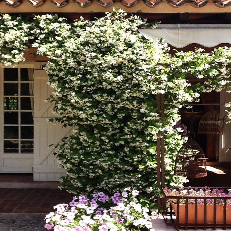 garden-backyard-design-by-nina-van-alphen-new-york.jpg