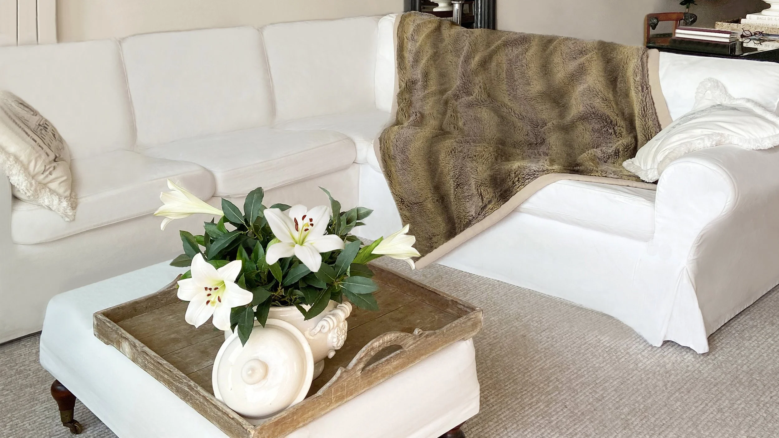 white-livingroom-long-island-nassau-county-designer-nina-van-alphen-design.jpg