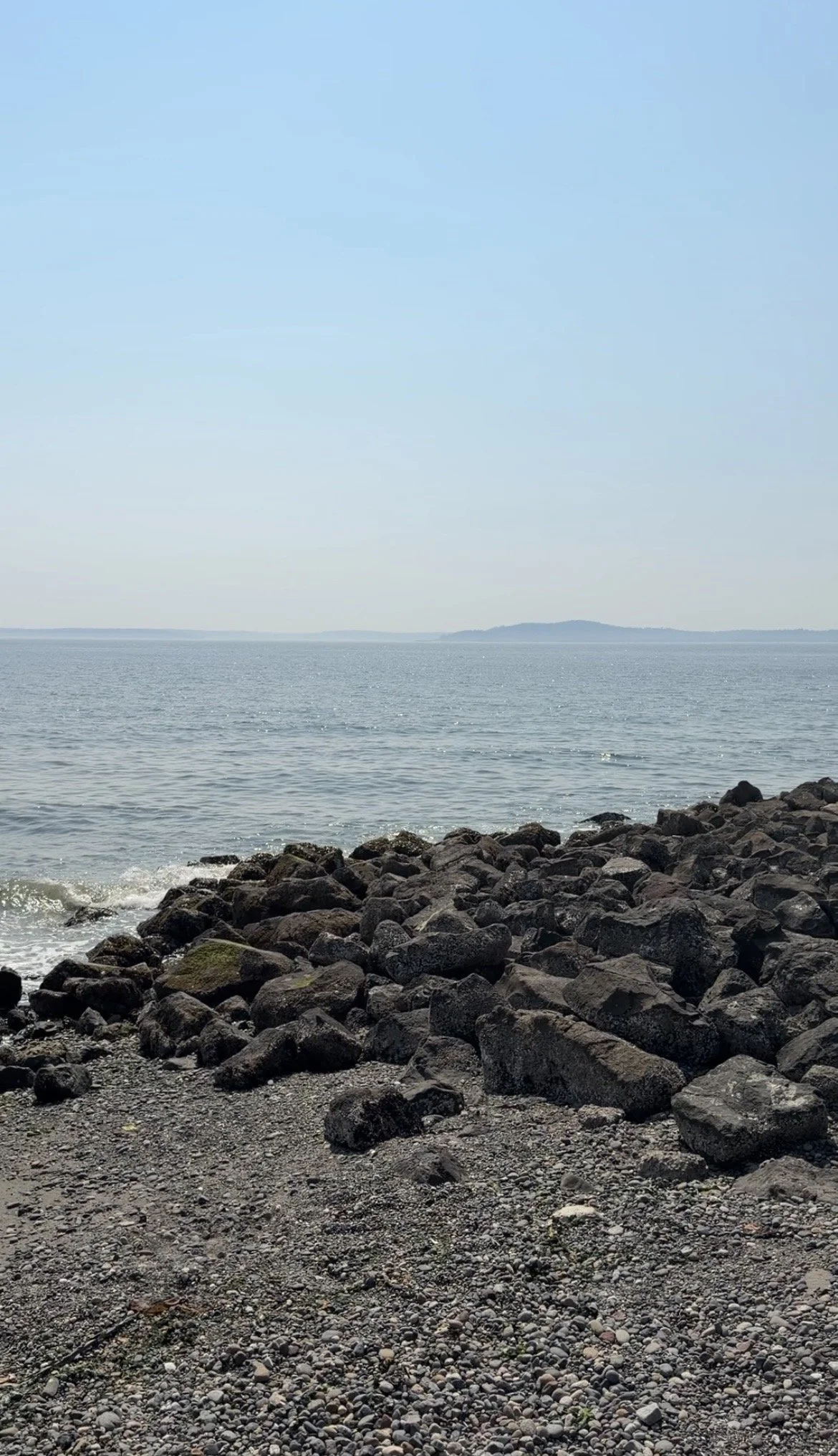 The Hidden Beach in Magnolia Seattle: A Local's Guide