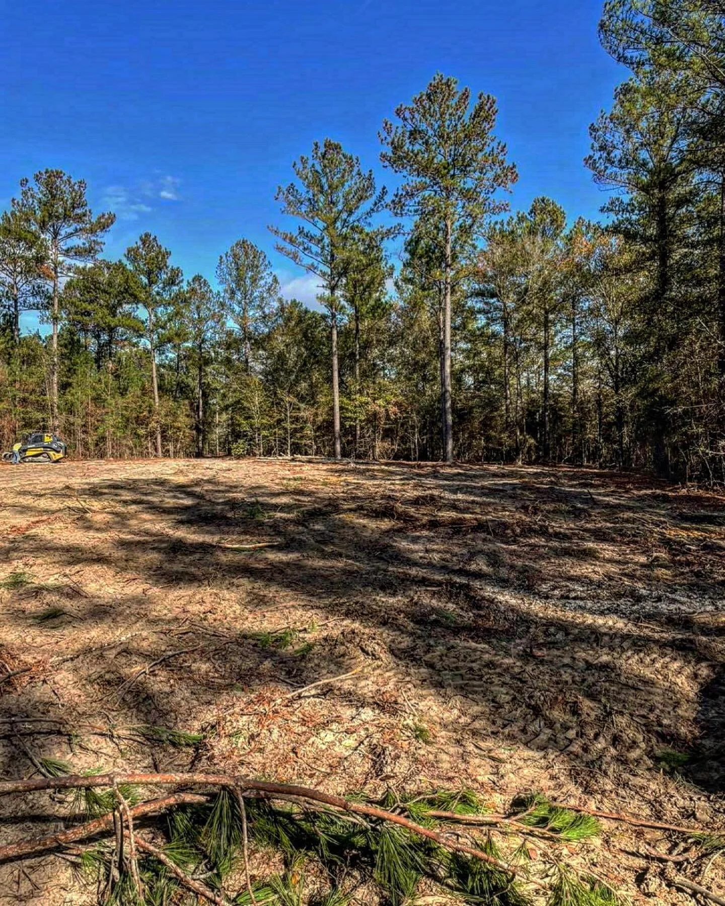 Clearing the way for a new home 🏡

#heusslandmanagement #housepad #landclearing #newhome #construction #johndeere #333g #georgiabulldogs #vidaliaga
