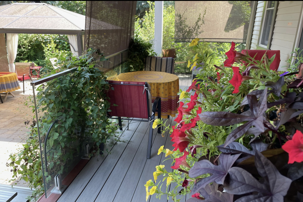 Back Deck Summer LR.png